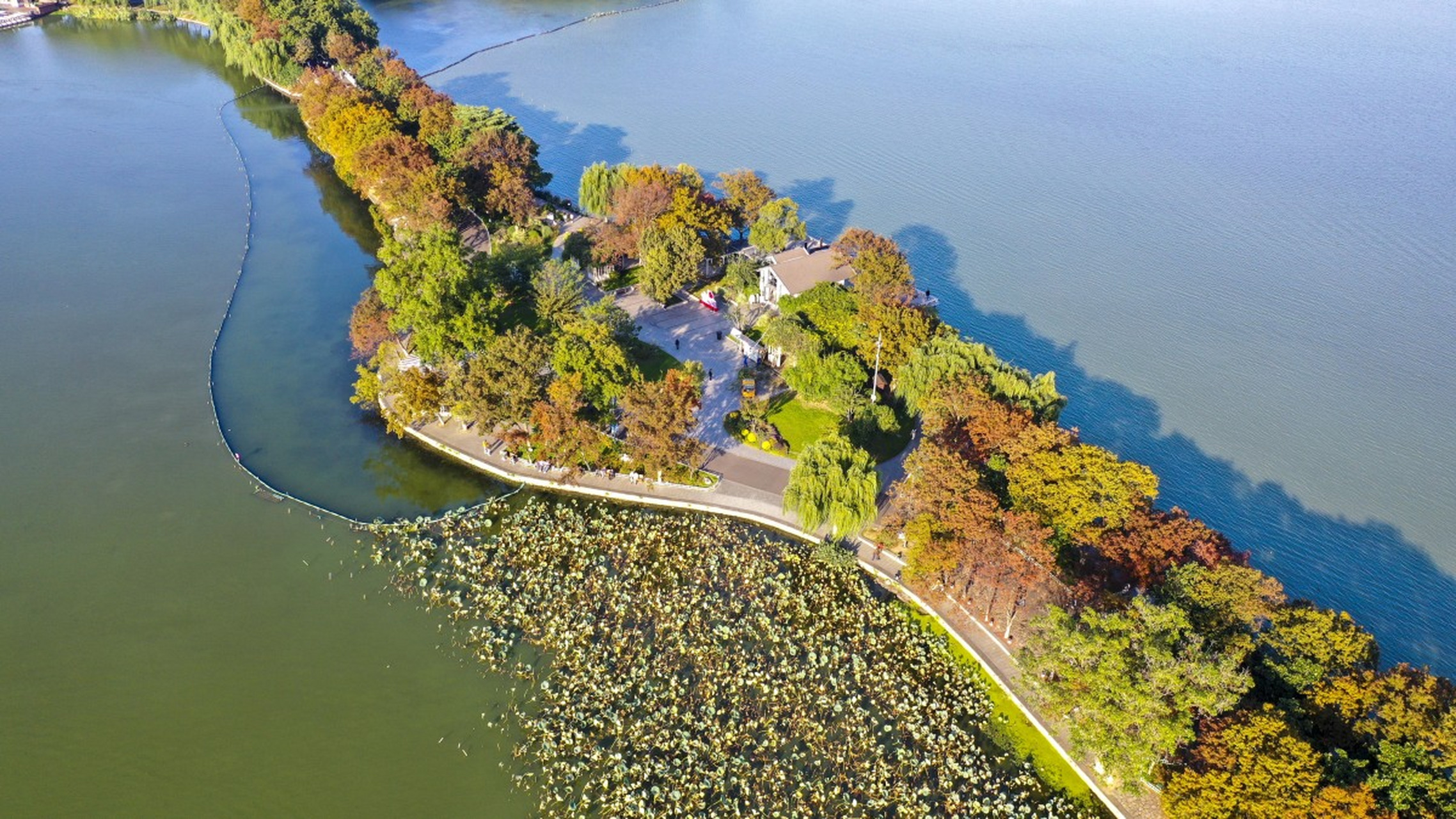 金秋图文动态创作节# 南京玄武湖公园位于南京市玄武区,东枕紫金 