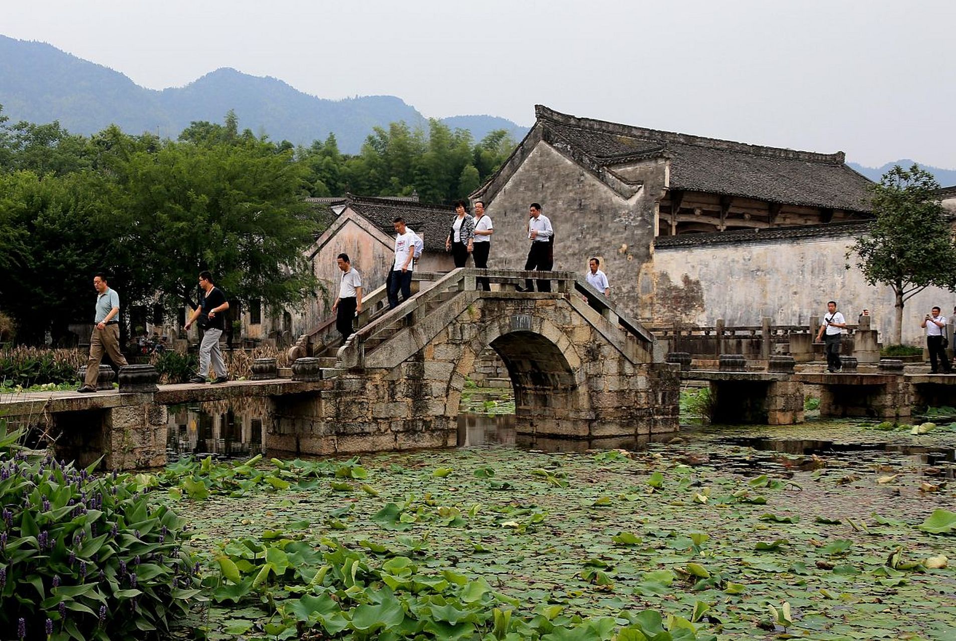 位于桐庐县江南镇东部的环溪村,坐落在三国文化的发源地,天山岗山麓.