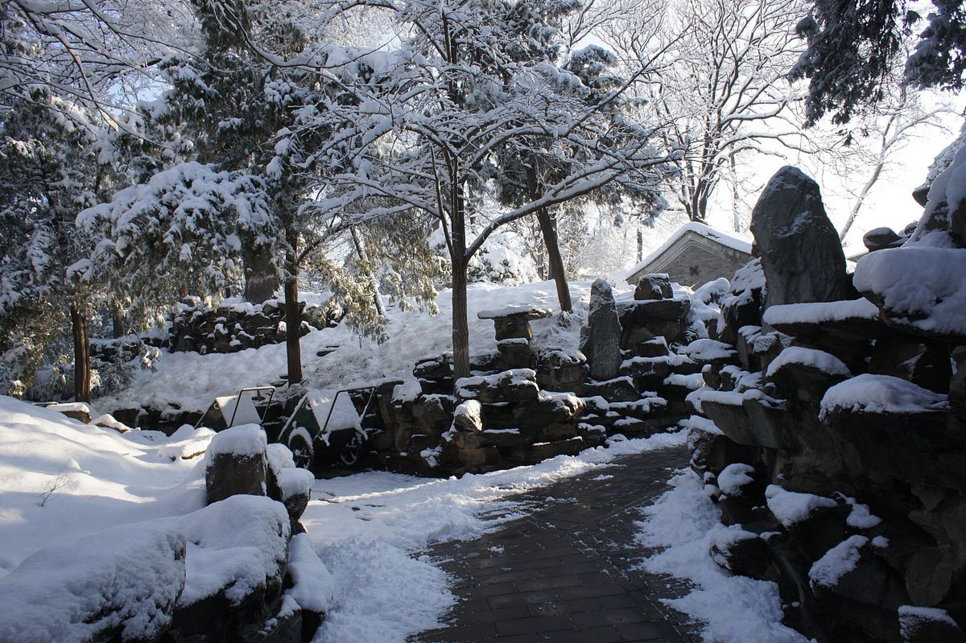 冬日暖阳洒在雪后清晨的街头,带来了宁静与温馨.