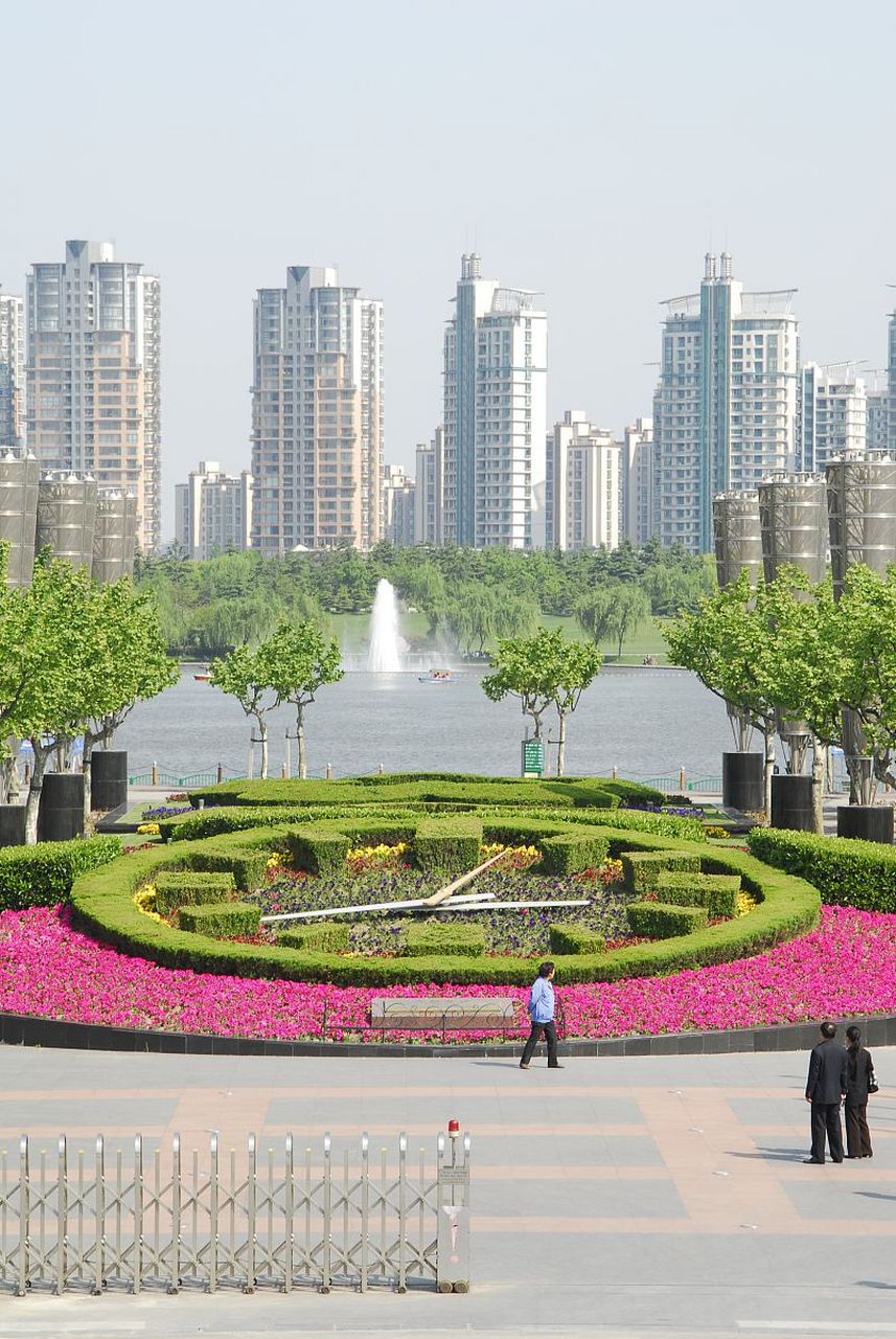 走进城市花海,探寻七彩花田美景 上海世纪公园的七彩花田是一个富有自