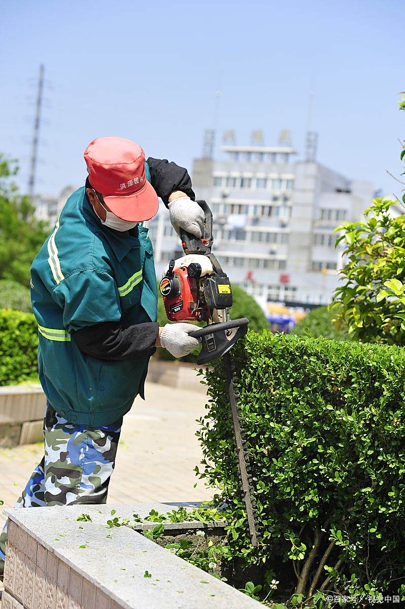 园林绿化工颈椎痛,怎么缓解?