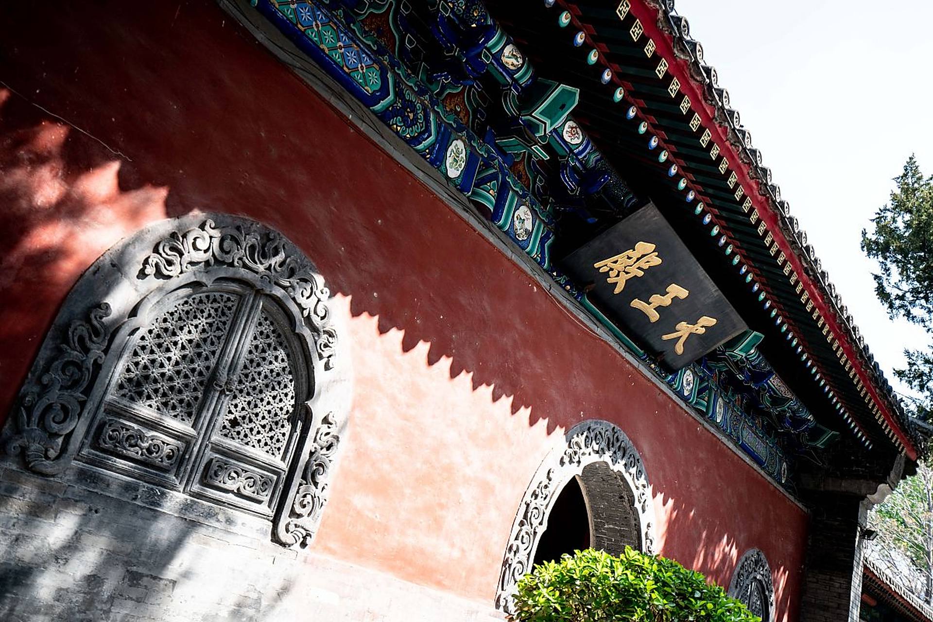 繁茂的绿树环绕,嫩叶新芽竞相生长,仿佛在低语着药王孙思邈的医道精髓