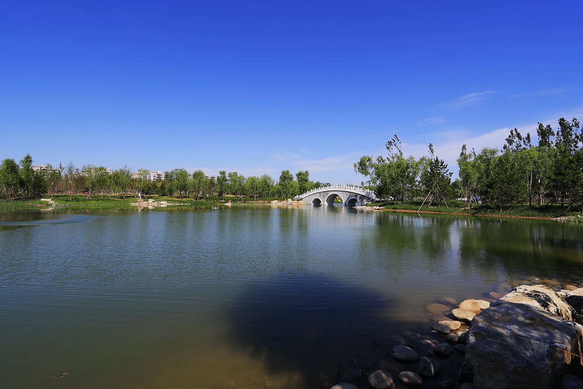 心定西再出发#甘肃省定西市的定西湖公园是一个非常受欢迎的景点,以