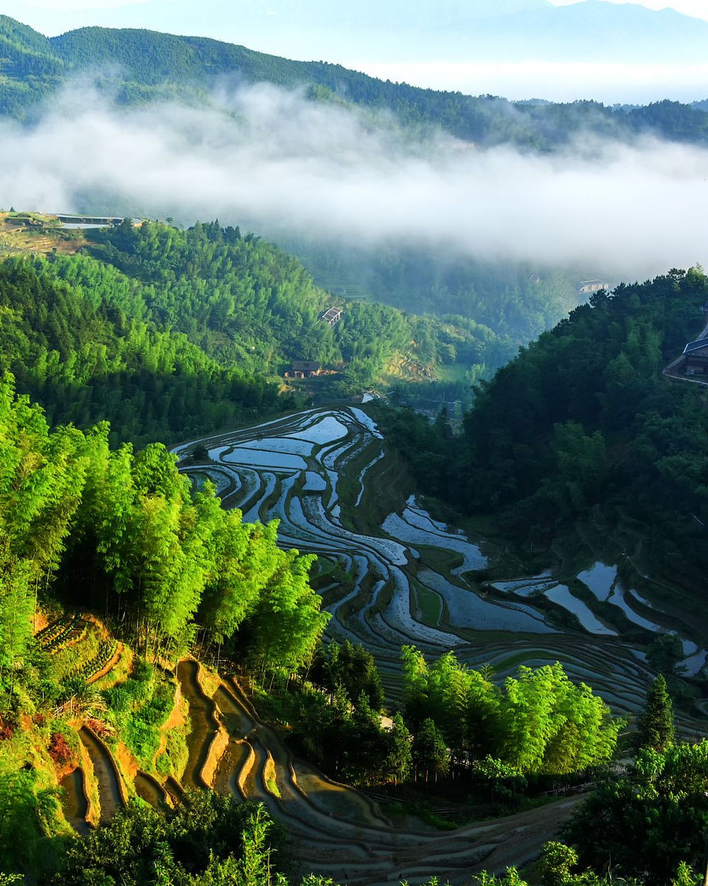 打卡大美江西# @百家本地君  吉安桃源梯田,四季更迭,美景无尽.