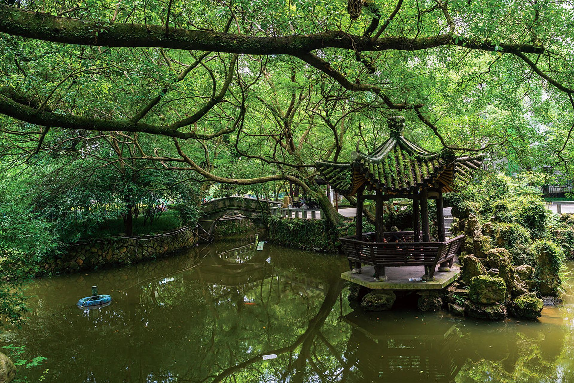 新都桂湖景区图片