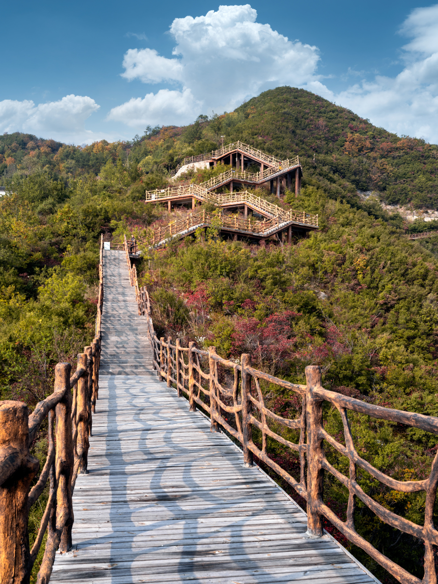 杜女士勇往直前,多少人栽倒在她的脚下?