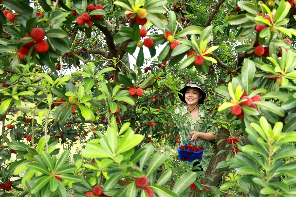 这份采摘攻略甜到心坎里