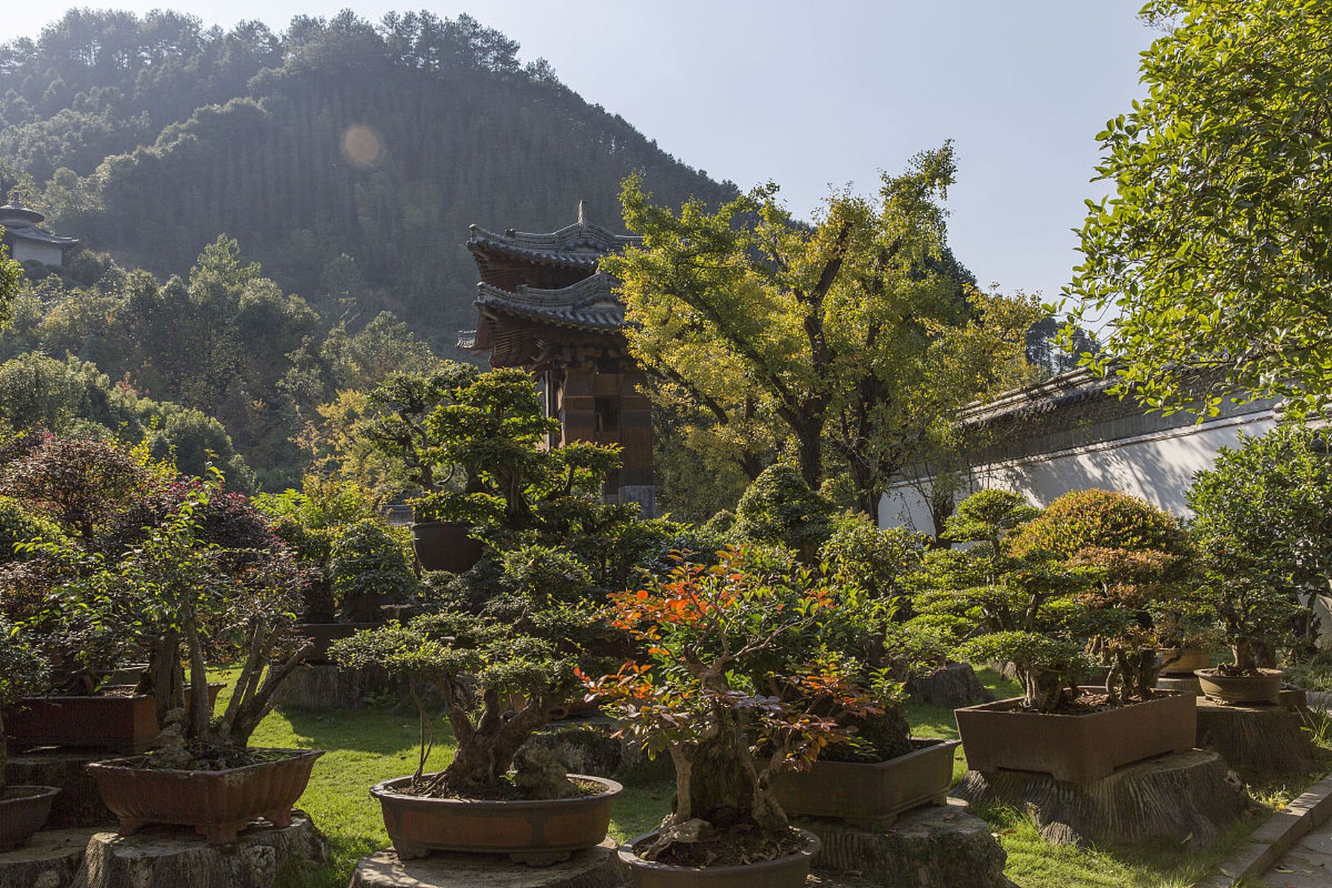根宫佛国文化旅游景区是一处集自然风光,佛教文化和历史底蕴于一体的