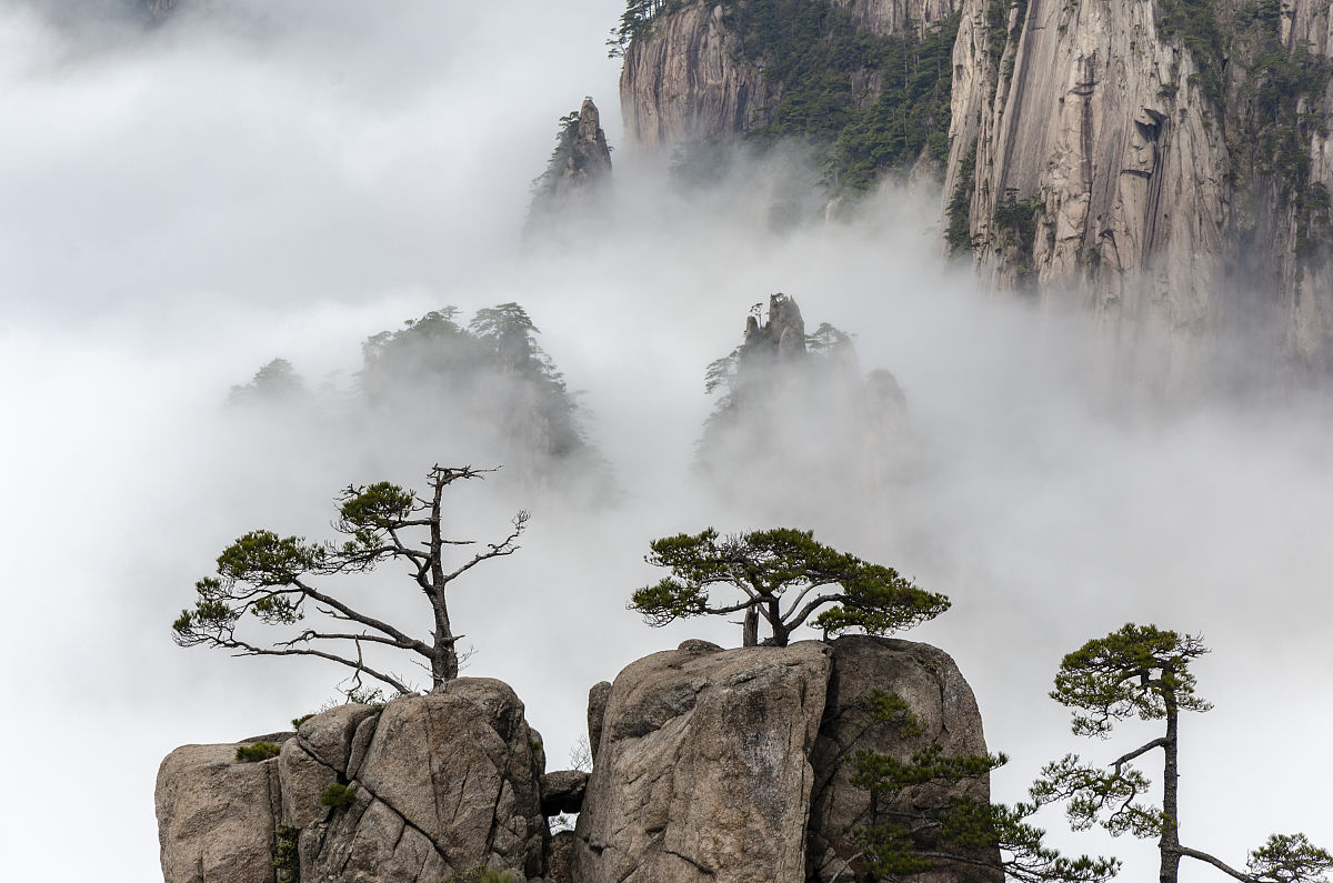 黄山白云景区介绍图片