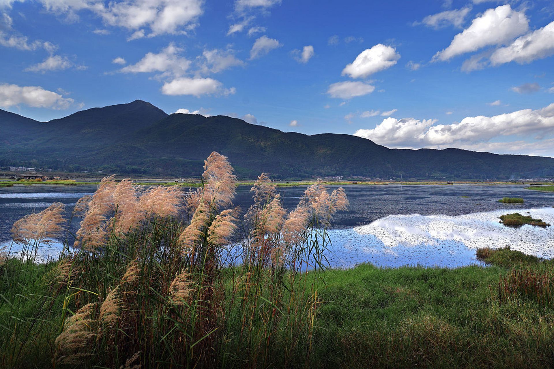 避暑圣地:腾冲～北海湿地          腾冲北海湿地是腾冲旅游推荐的九