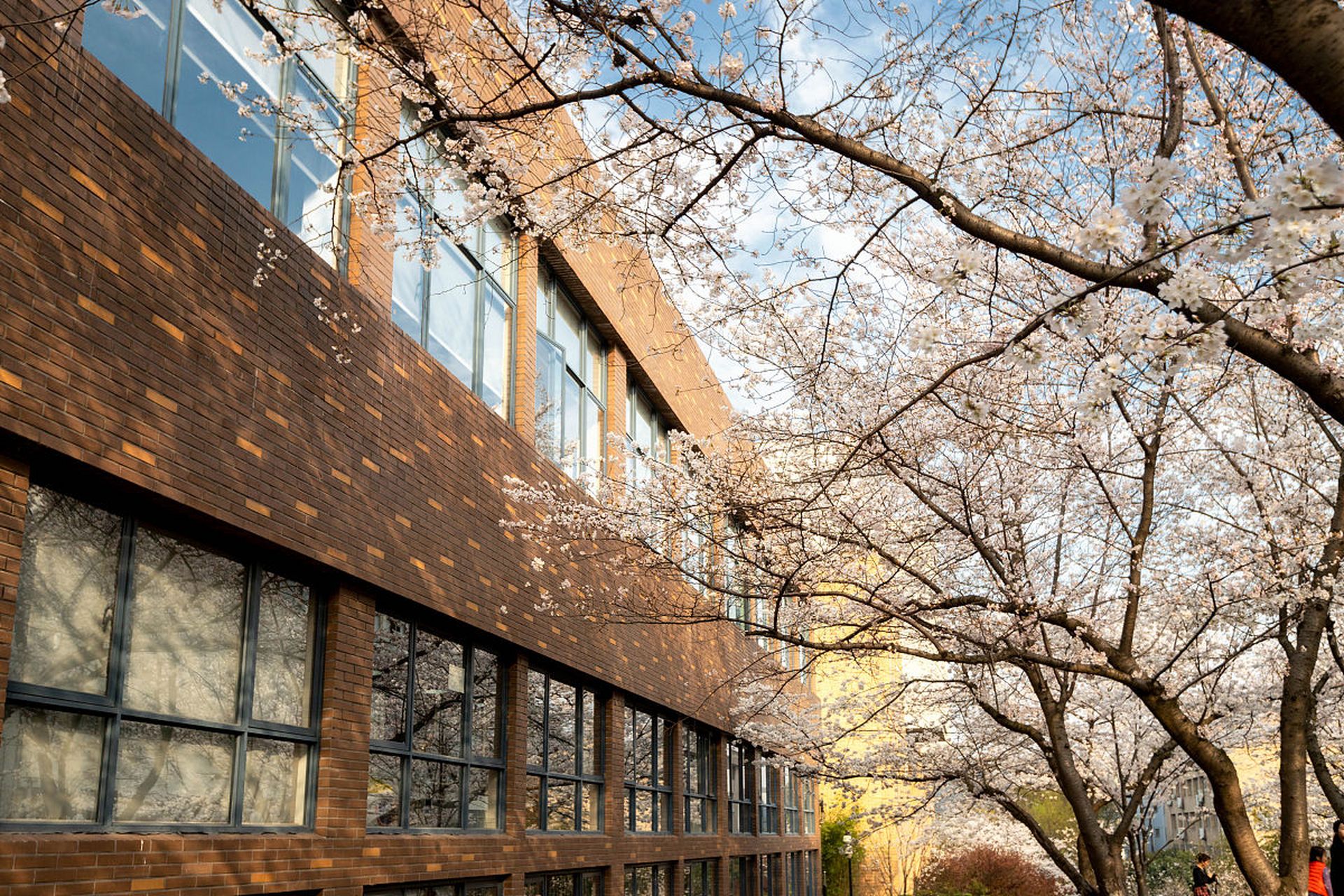 浙江大学作为中国著名的高等学府之一,其校园美景更是人们赞叹不已.