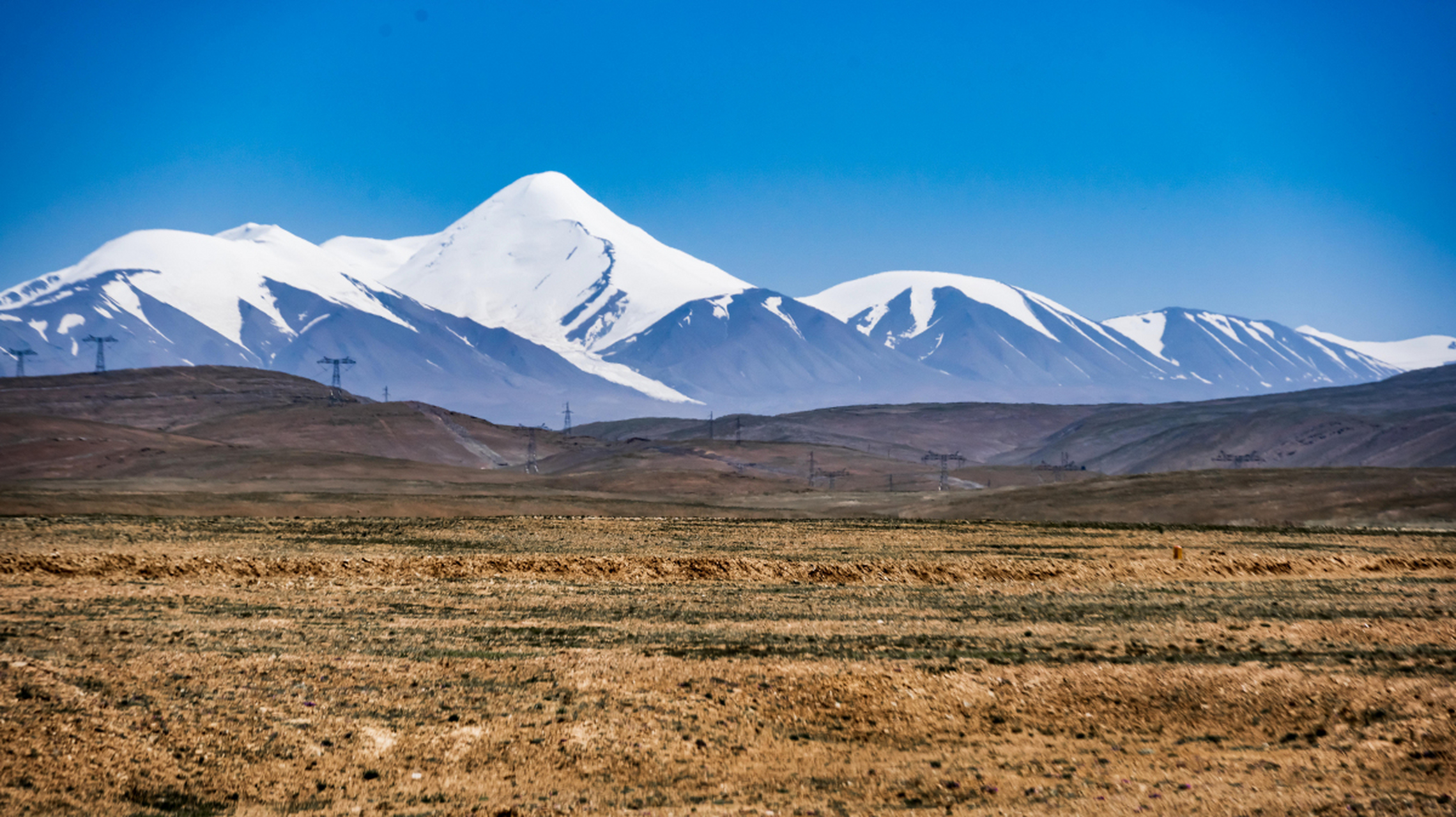 青海可可西里国家级自然保护区是21世纪初世界上原始生态环境保存较好