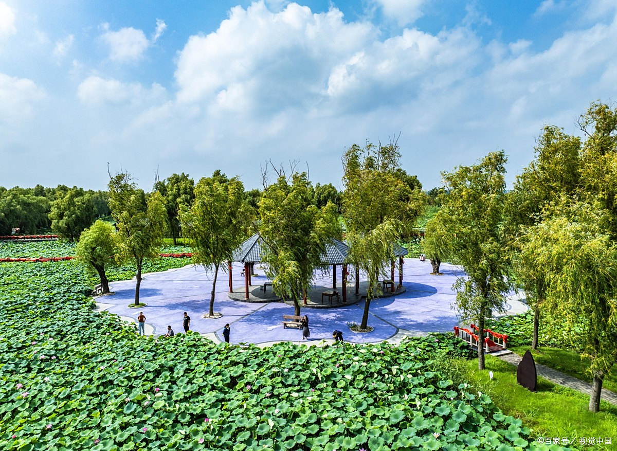 对你有意思的异性,才有的相处反常表现