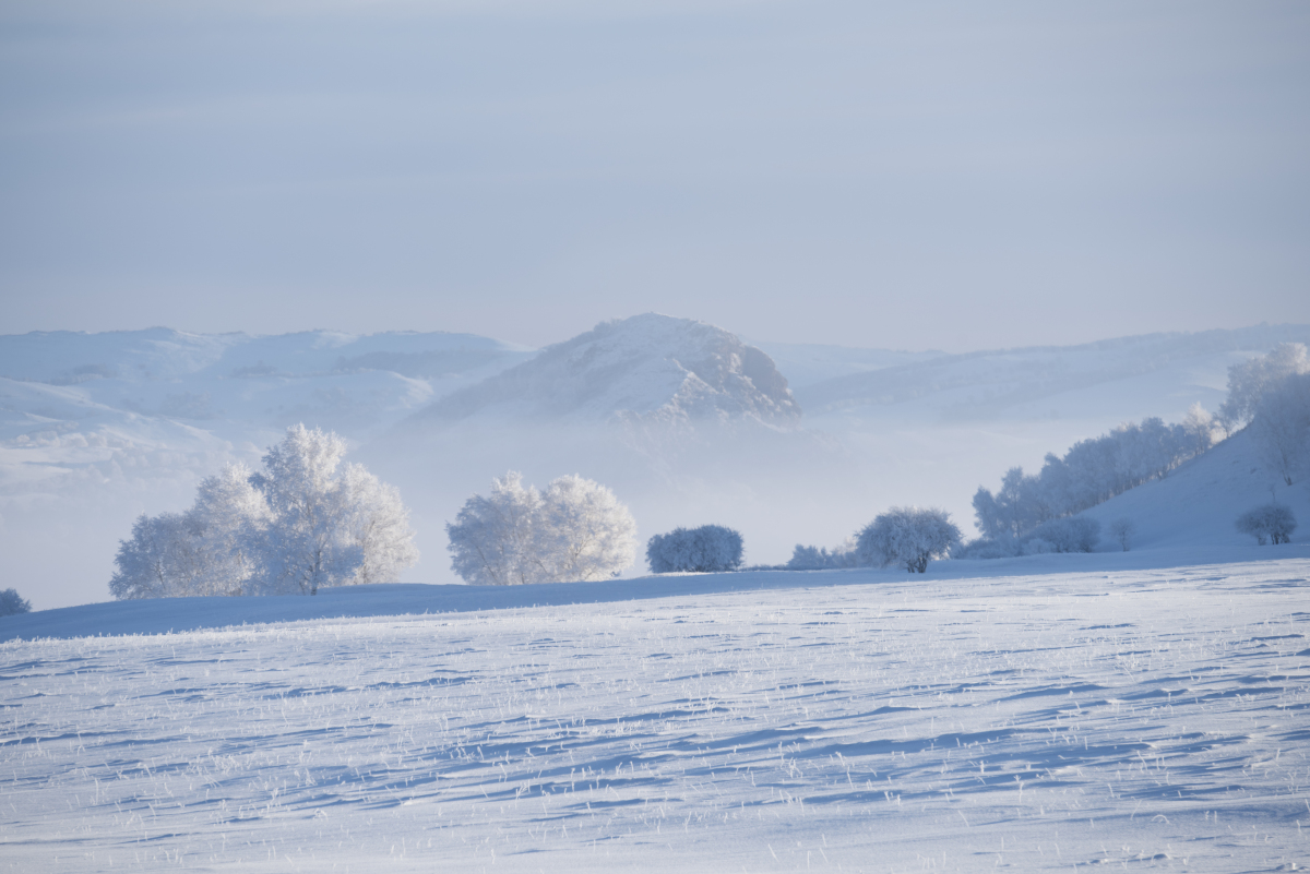 每当大雪纷飞,北方的雪国便迎来了最浪漫的时刻.