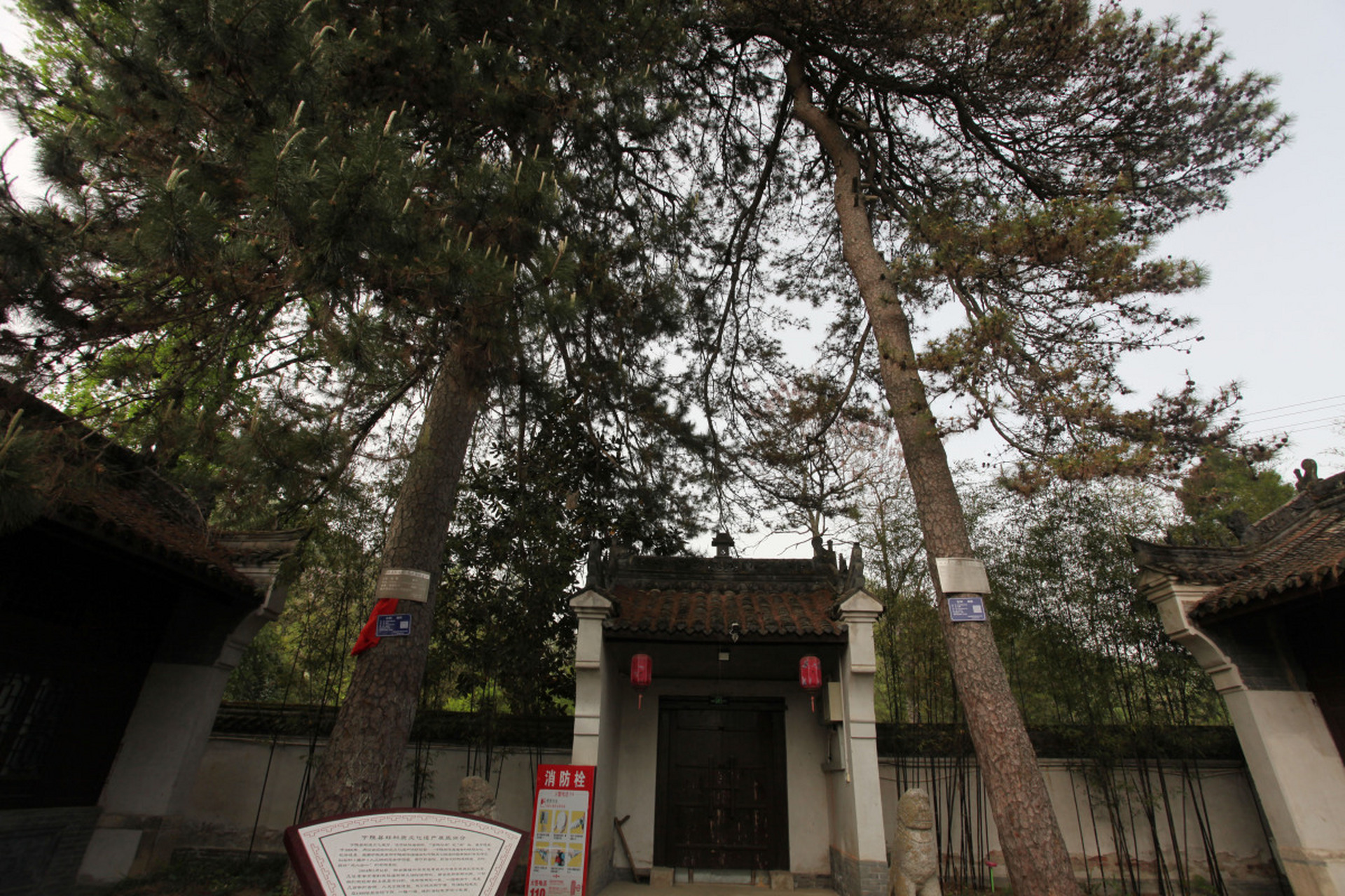 **张元济故居,文化巨匠的生活印记** 在上海淮海中路1285弄24号,有一