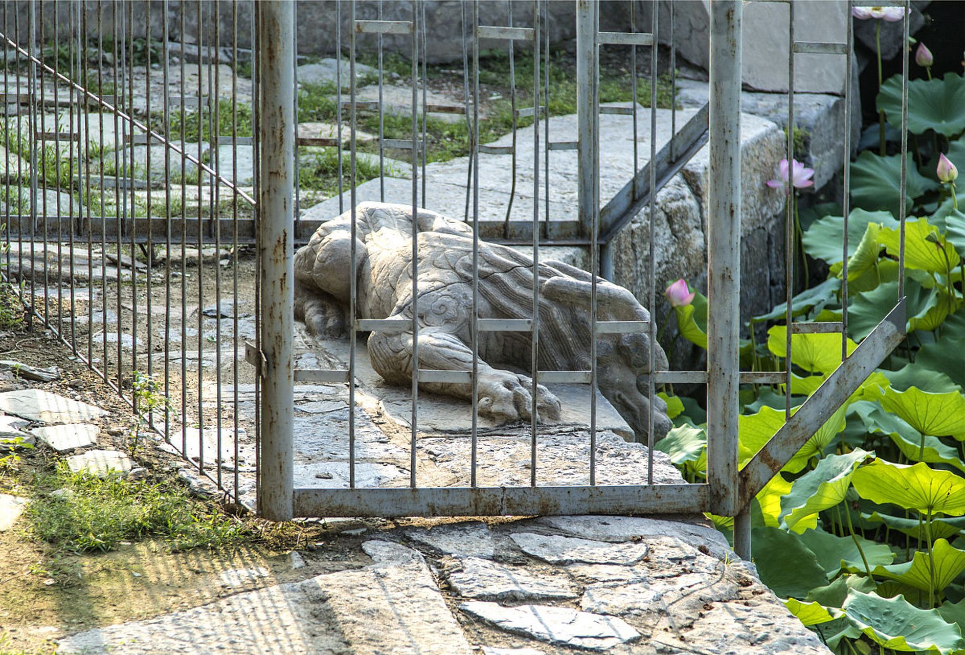 常德主打一个松弛感# 当你计划带娃去常德汉寿野生动物园时,以下是