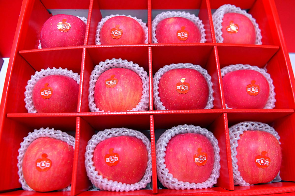 中国最贵的苹果排名  01烟台苹果  02庆阳苹果  03小金苹果  04泰安