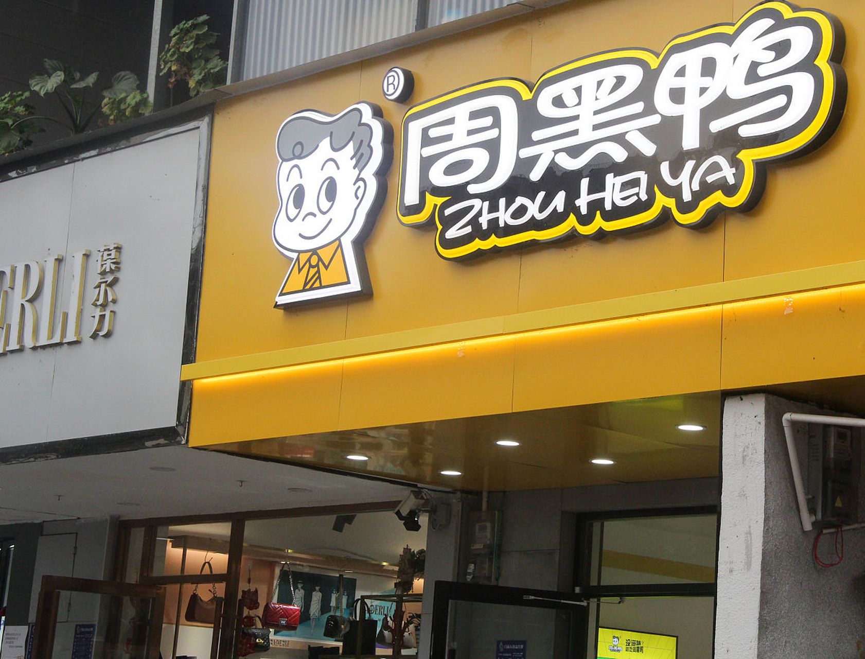 如何加盟周黑鸭,最新周黑鸭卤味加盟要求有什么?