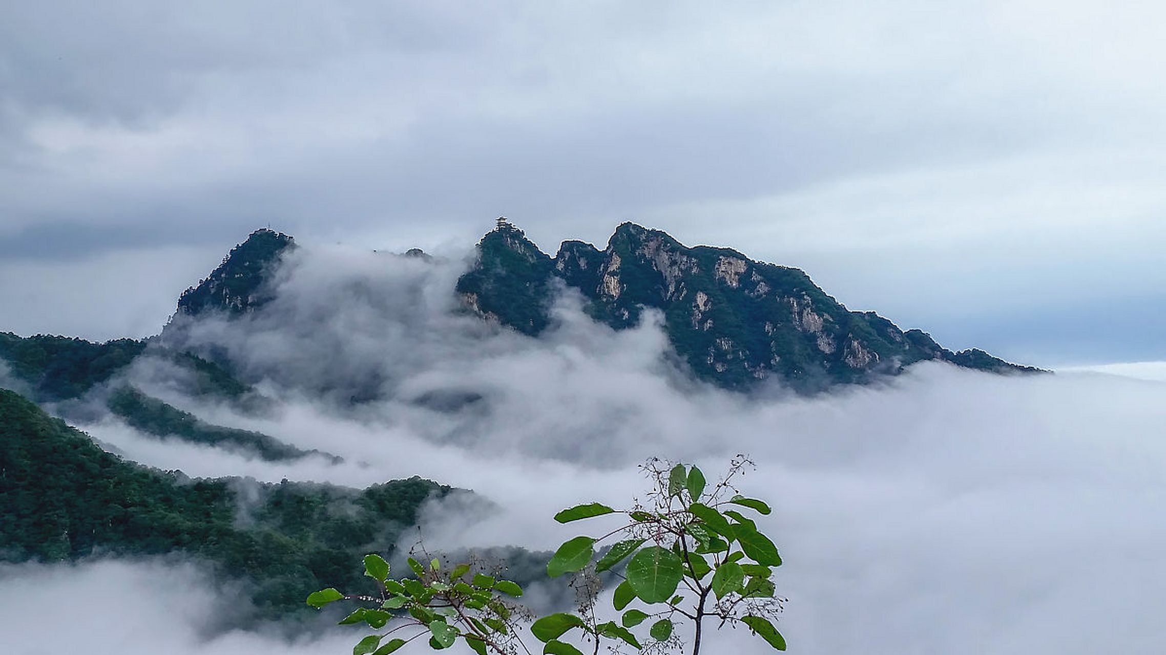 专栏涨价通知:感谢大家对钟吕金丹道,太乙金华宗旨专栏的支持和厚爱.