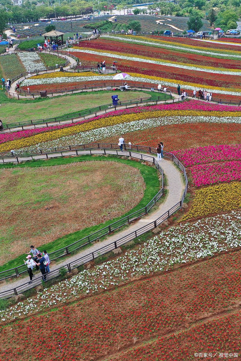 邂逅花千谷,领略自然之美