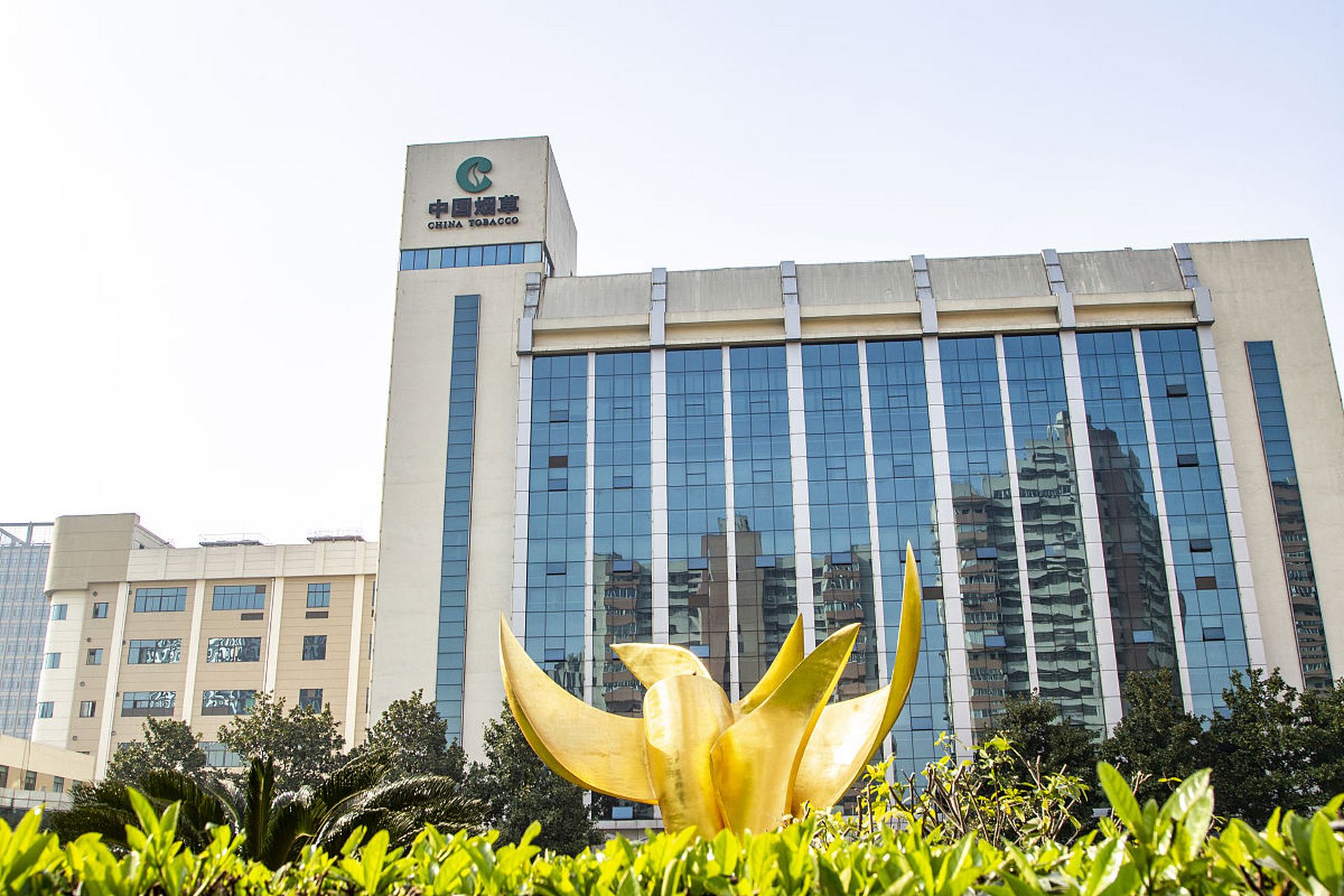 我妈妈烟草公司 我爸爸税务局.之前特招子女进去.两个单位让我选.