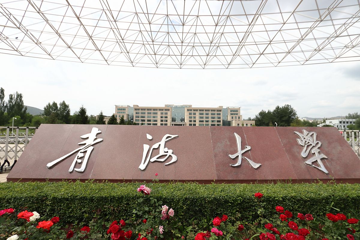 青海师范大学(双非)  3.青海民族大学(双非) #青海# #大学