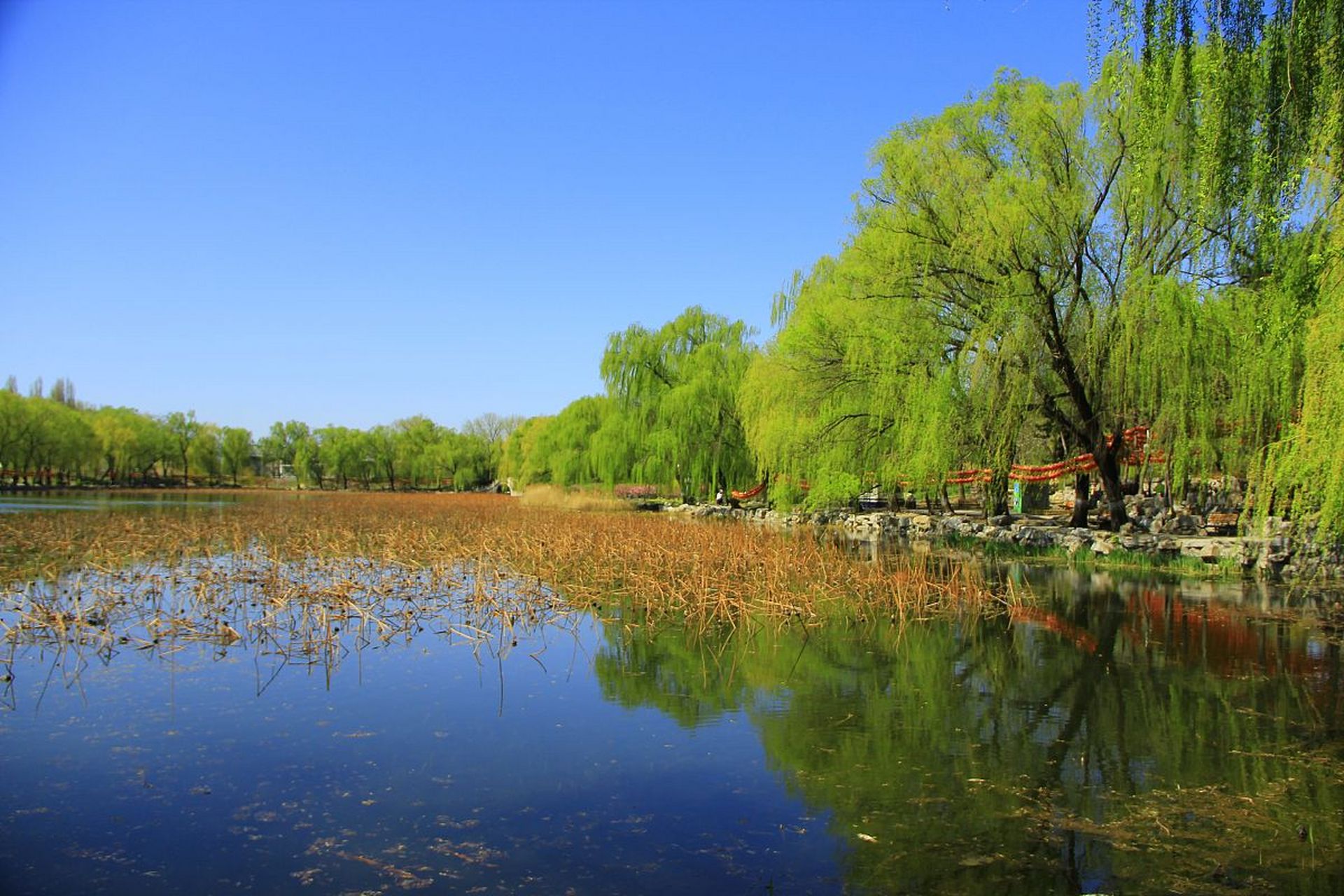 北京奥林春天图片