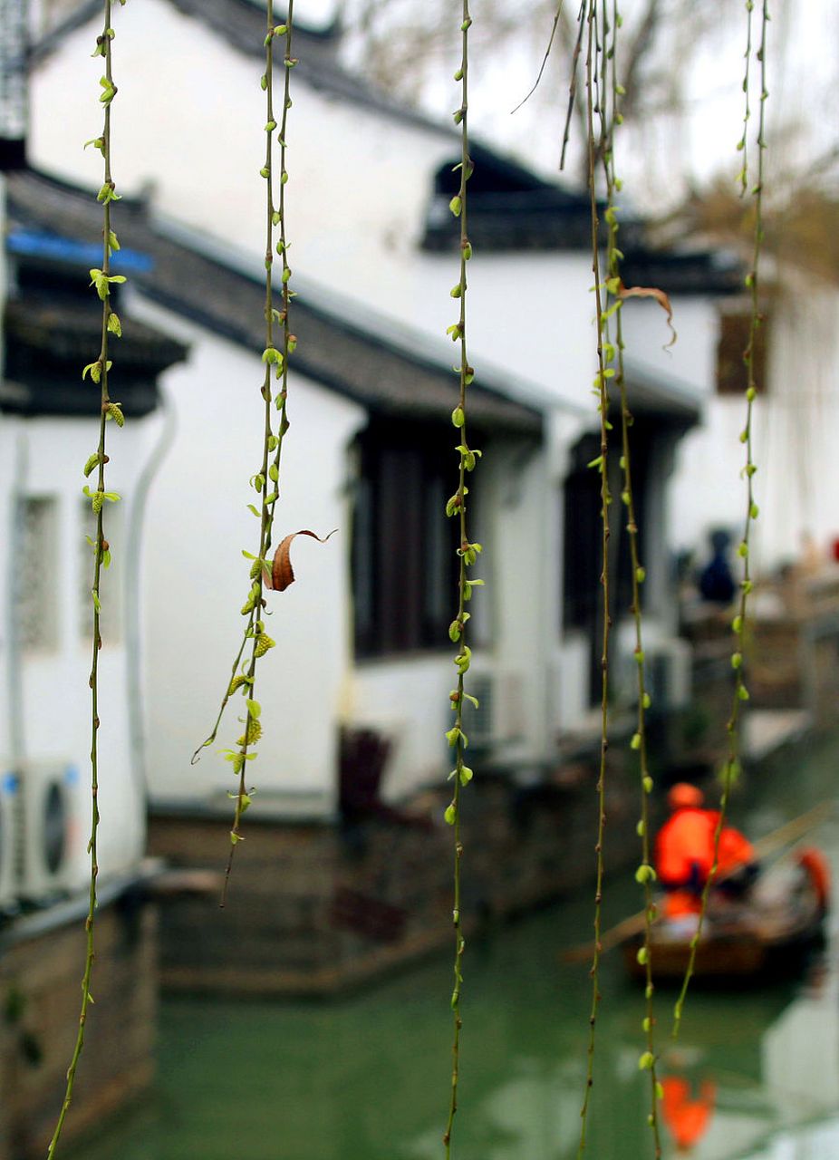 静听雨声,有一种清新的感觉 每一滴雨水都是一份祝福 尝试与雨共舞,让
