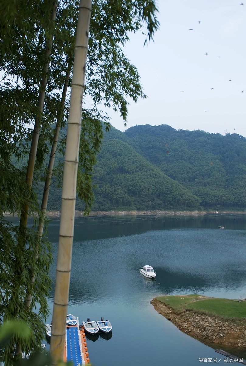 益阳桃花江竹海风景区图片