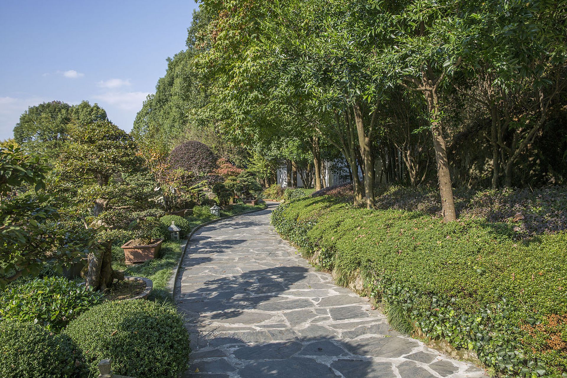 奔赴春天的旅行# 歌乐山城市森林公园位于重庆市沙坪坝区,占地面淮镲