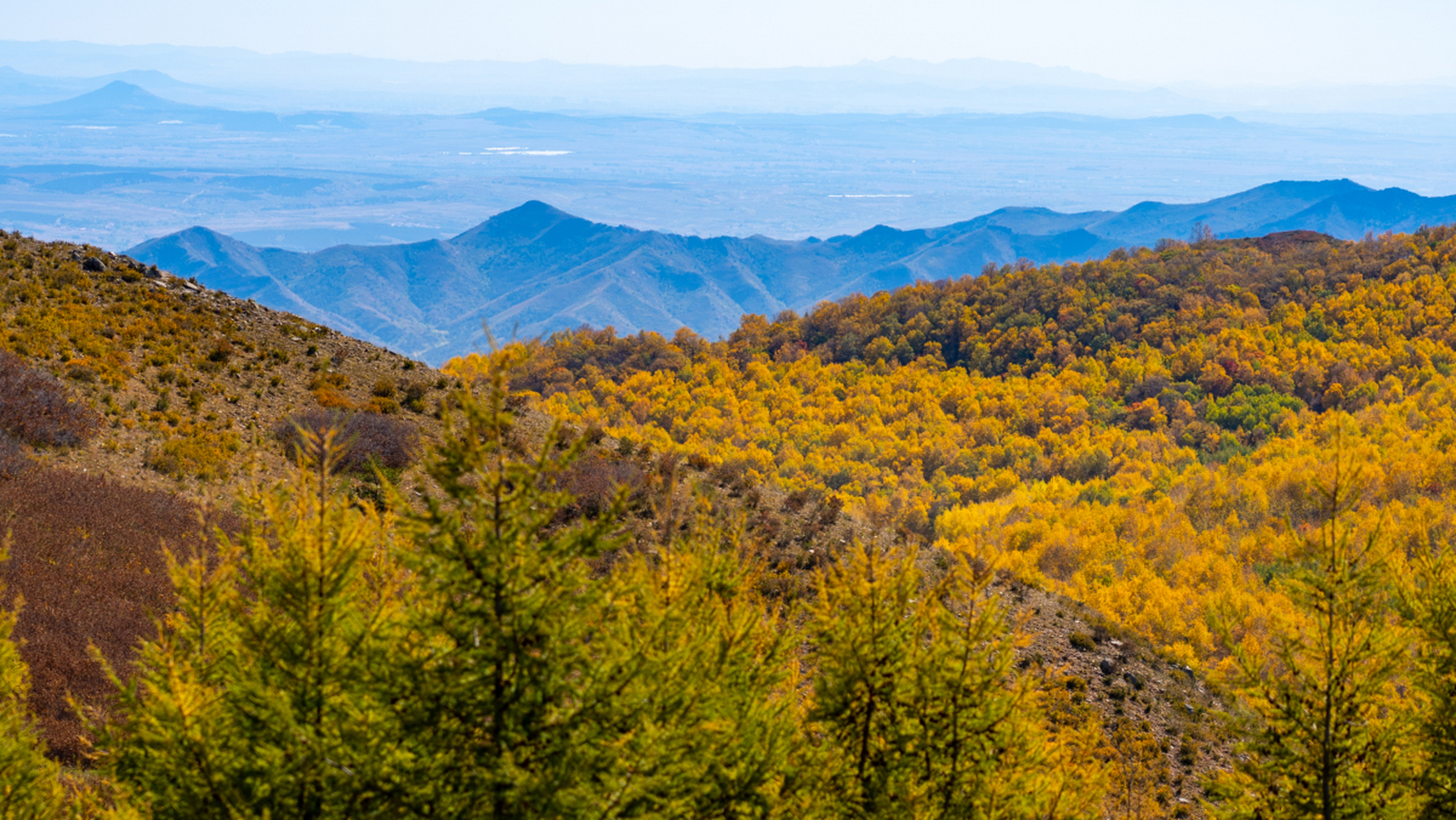 赤峰一日游精彩纷呈,上午探访赤峰博物馆感受历史厚重,游览红山公园