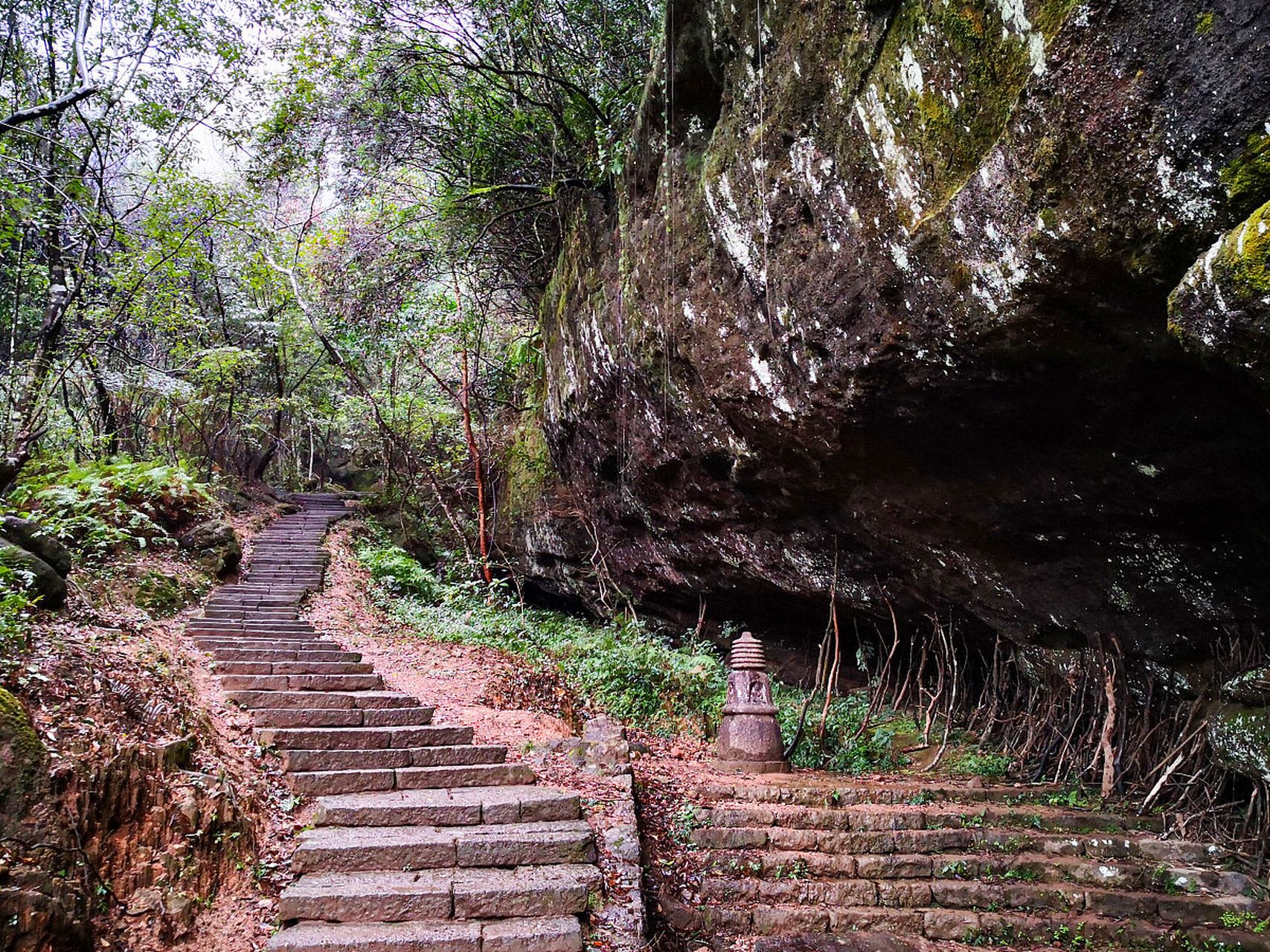 而今天,我终于踏上了前往南平茫荡山的旅途,心中充满了期待与向往.
