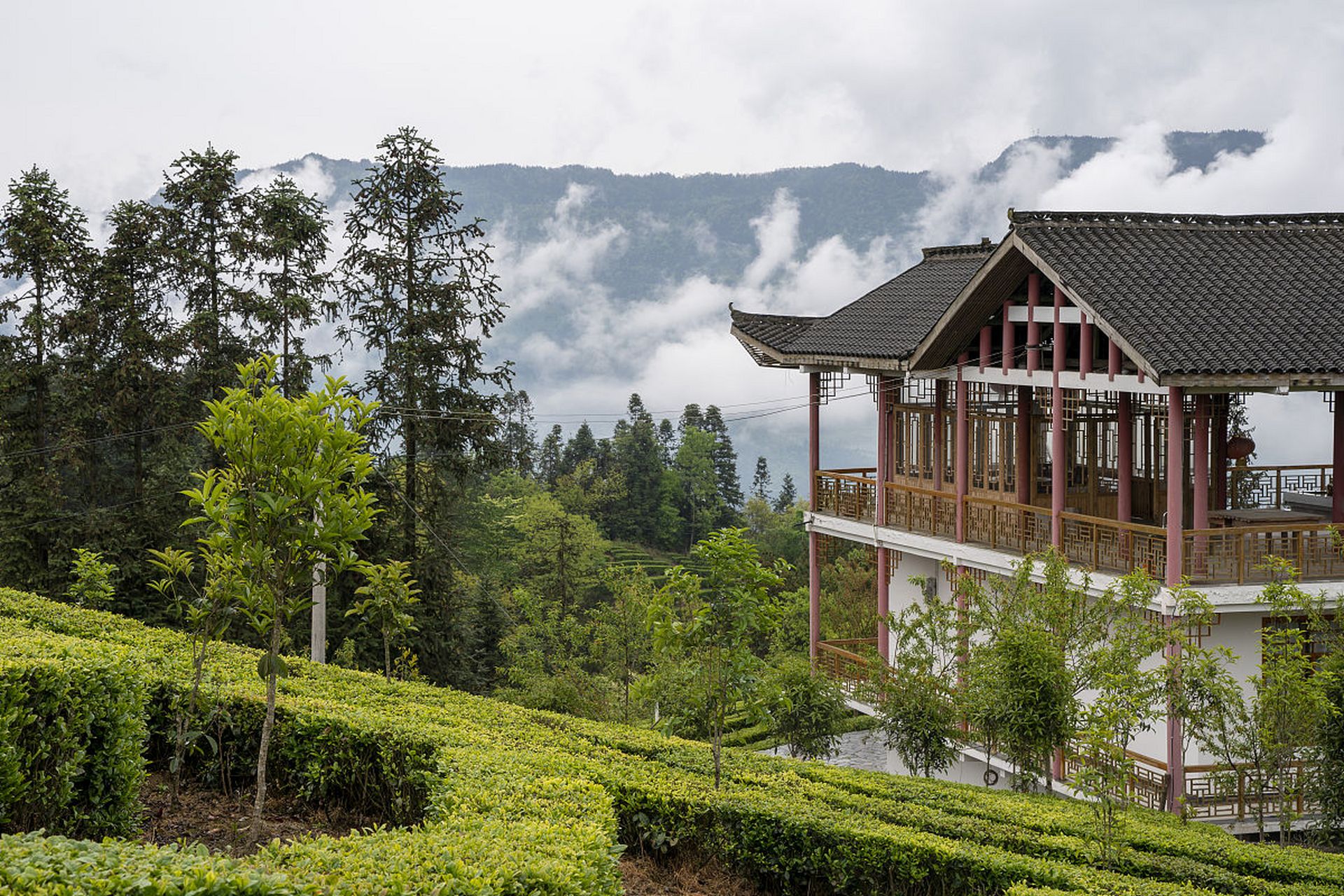 湖北坪坝营风景区图片