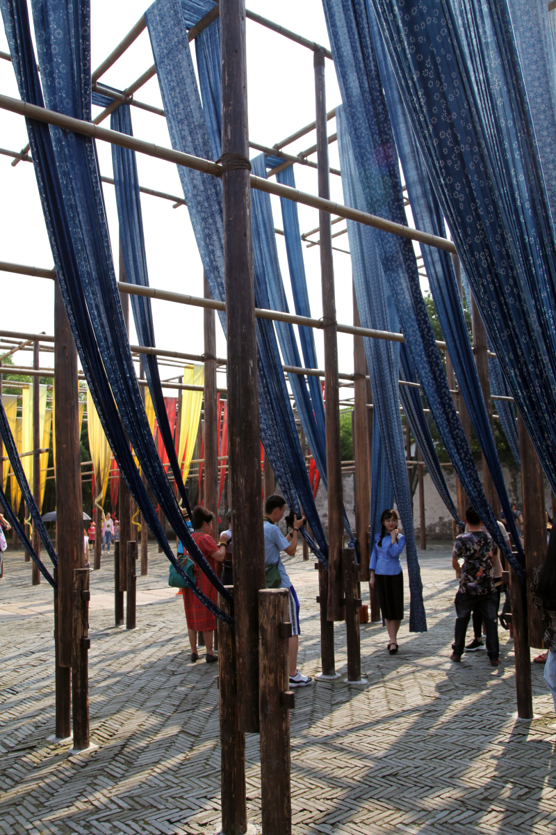 嘉兴植物园:领略自然之美,享受绿色生活