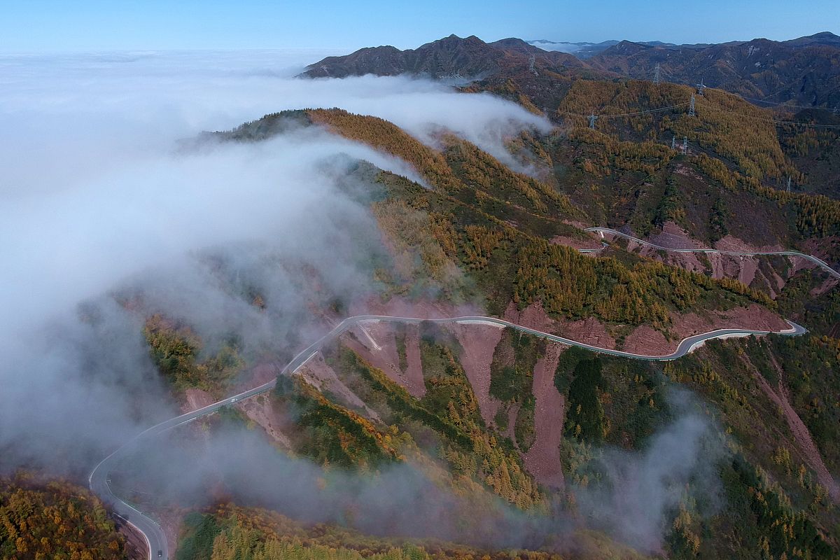 又是一年秋叶黄,愿秋色美景永驻人间
