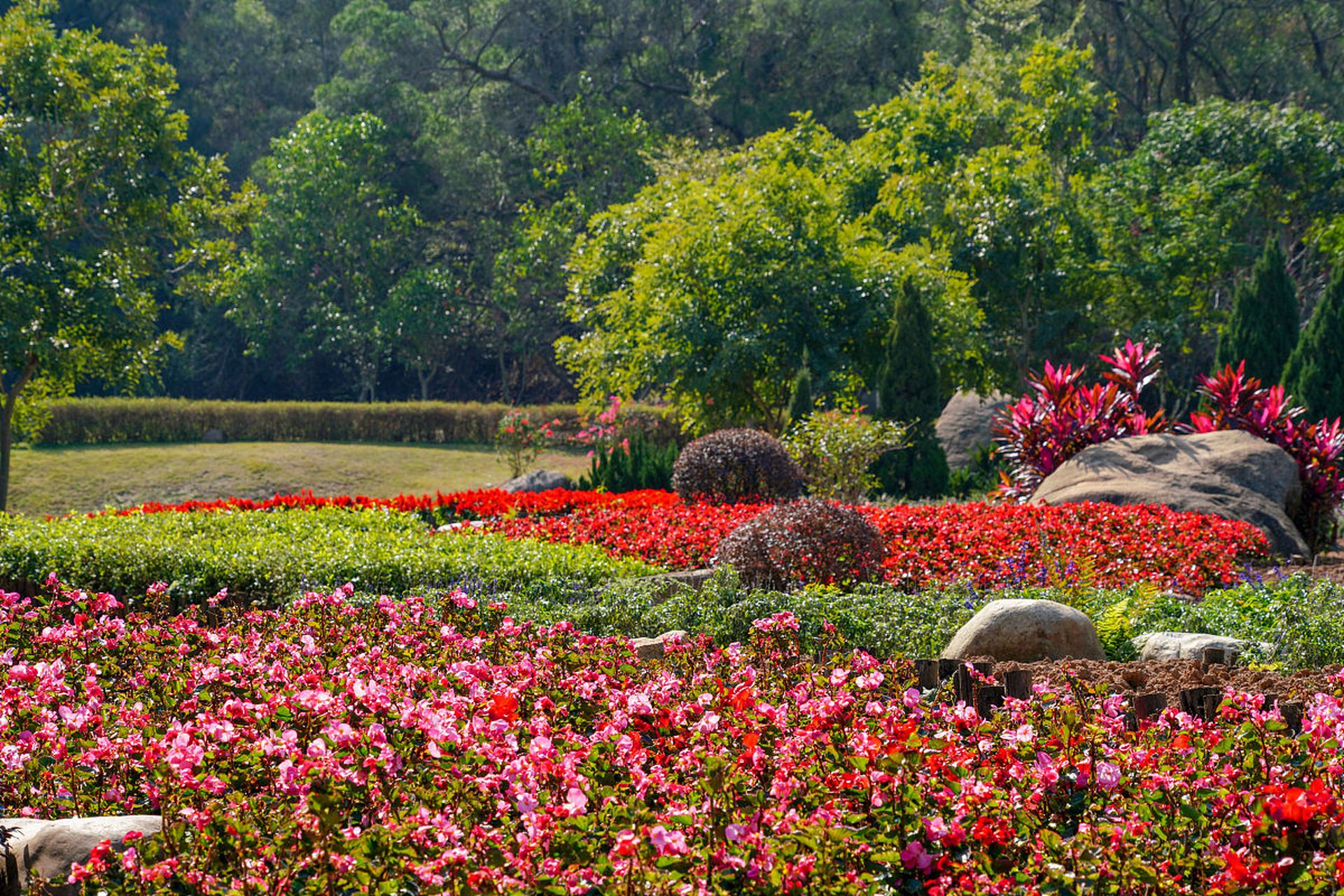 厦门,这座魅力四射的海滨城市藏着无数惊喜!