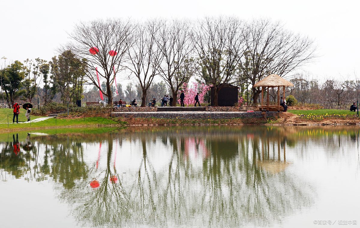 铜陵天井湖公园是一个集自然美景.@小丽漫生活的动态