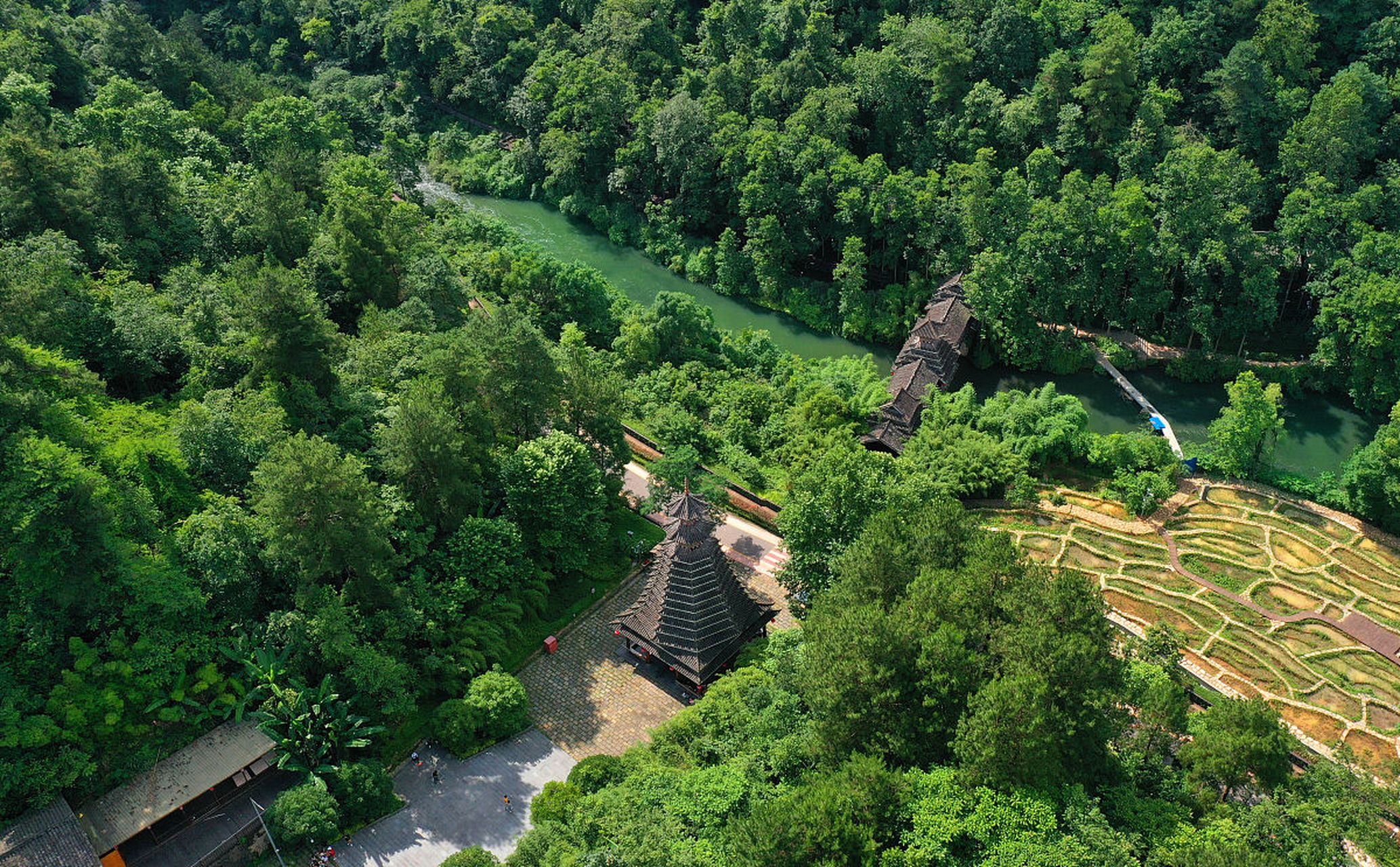 中山;翠亨国家湿地公园