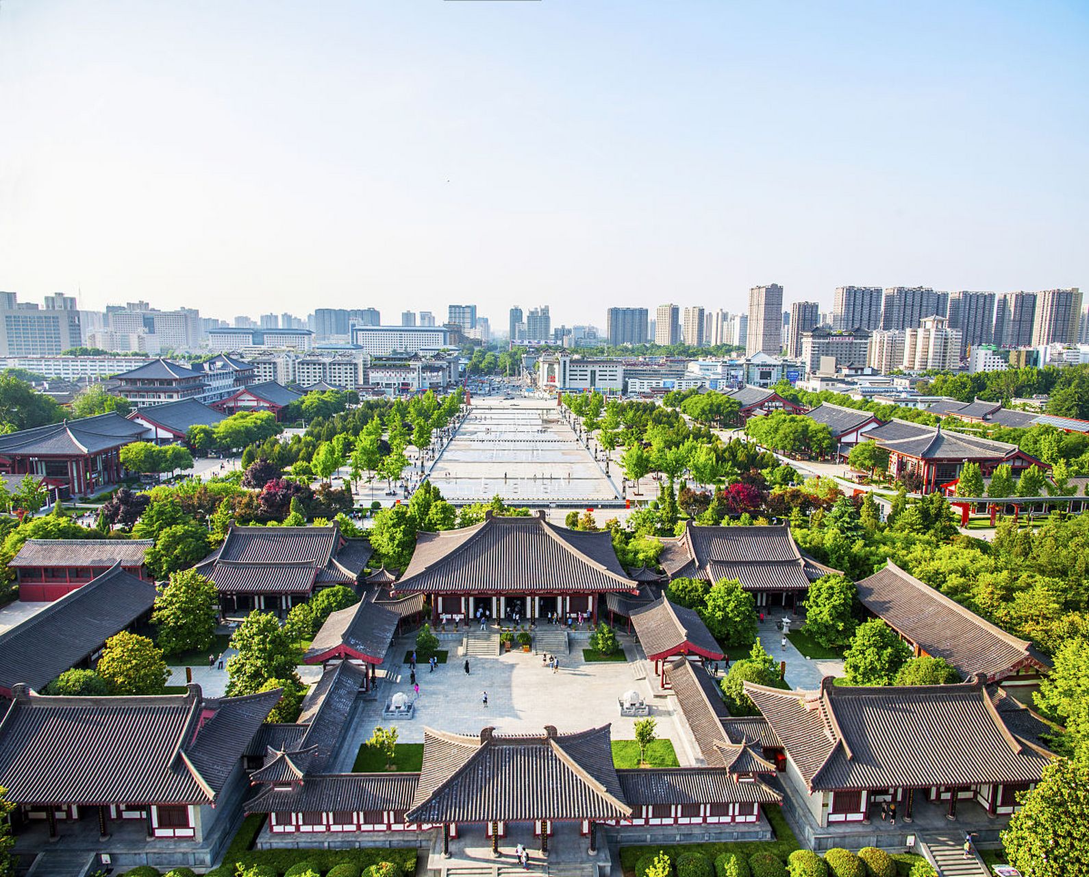镜头里的春天# 西安唐大慈恩寺遗址公园,位于陕西省西安市南郊,是