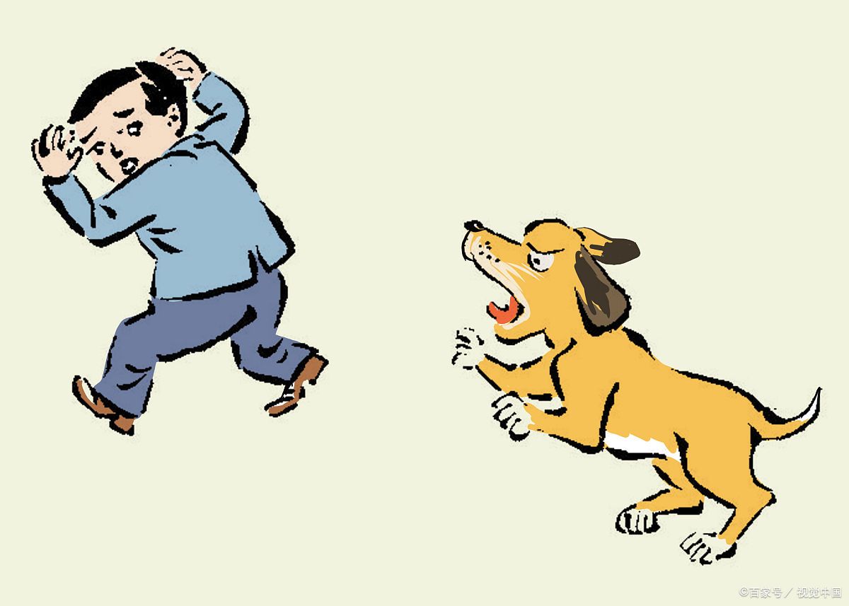 松狮犬为什么禁养?深度解析禁养原因与背后的现实考量