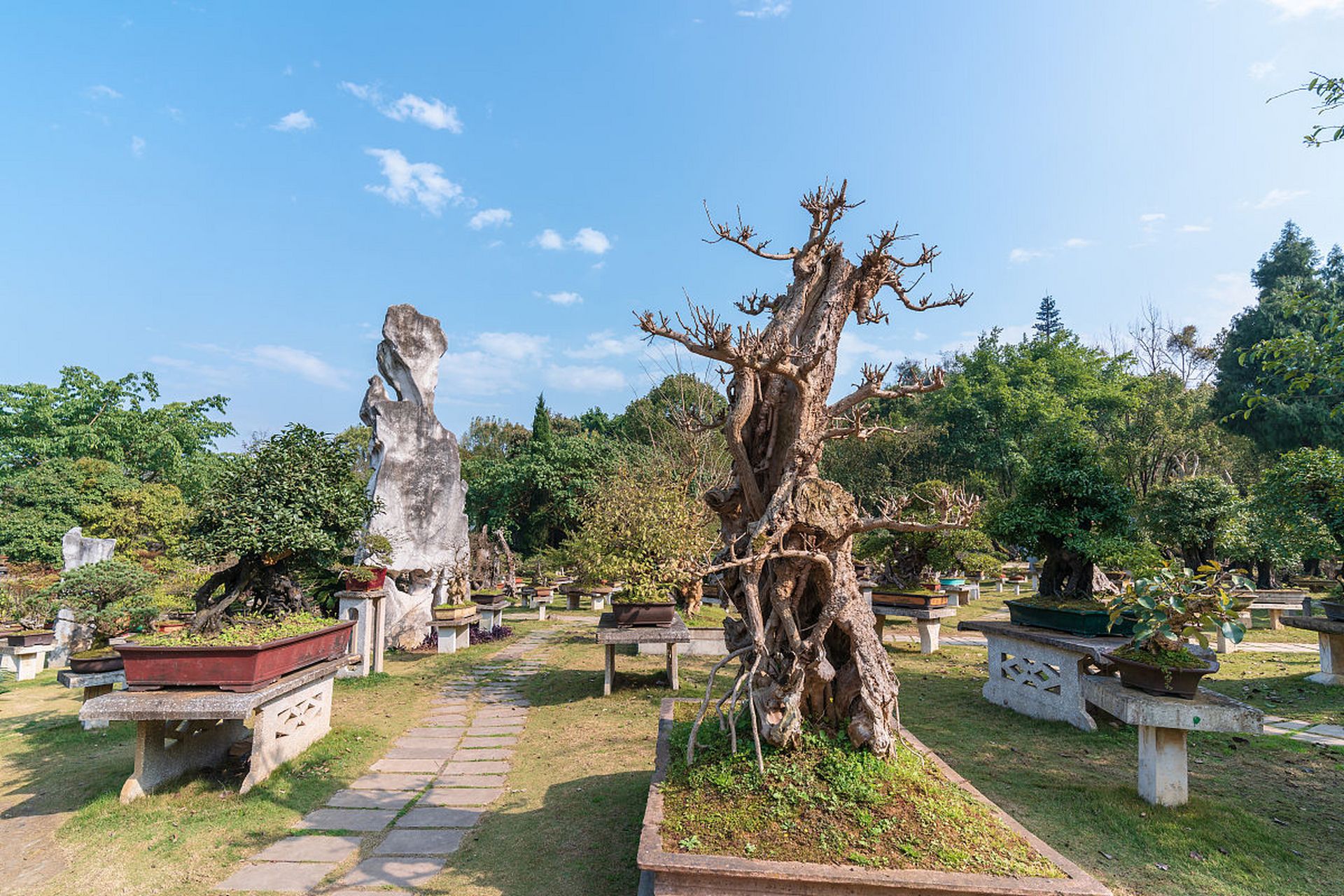 亚运fun体验#  开化县根博园!