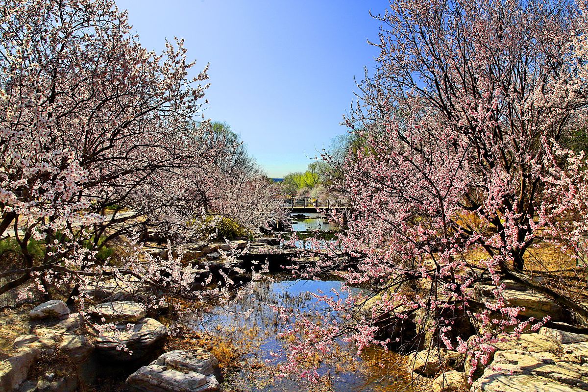 保定桃花沟风景区图片