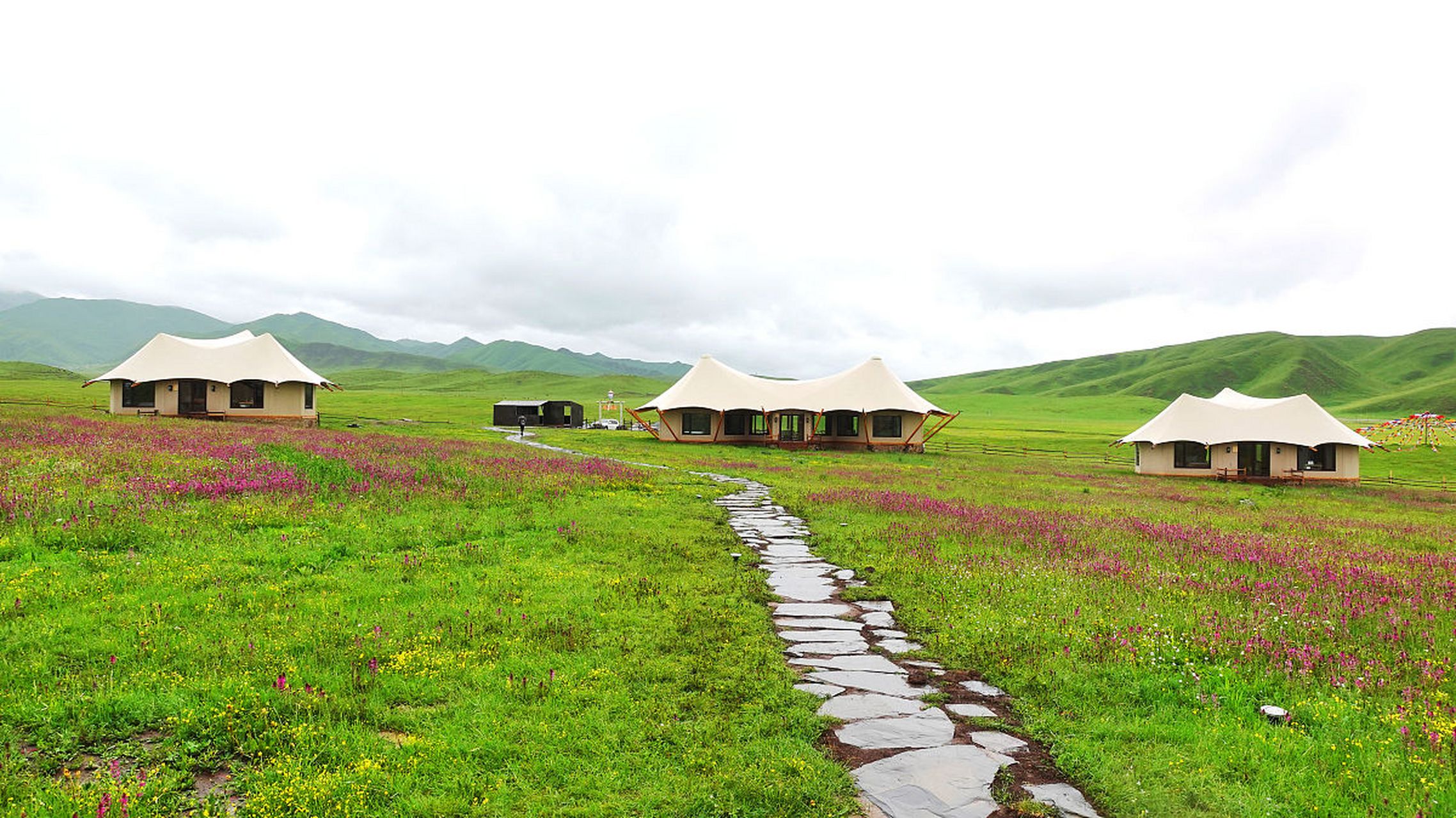 当周草原风景区,位于合作市郊南山脚下,距市中心2.