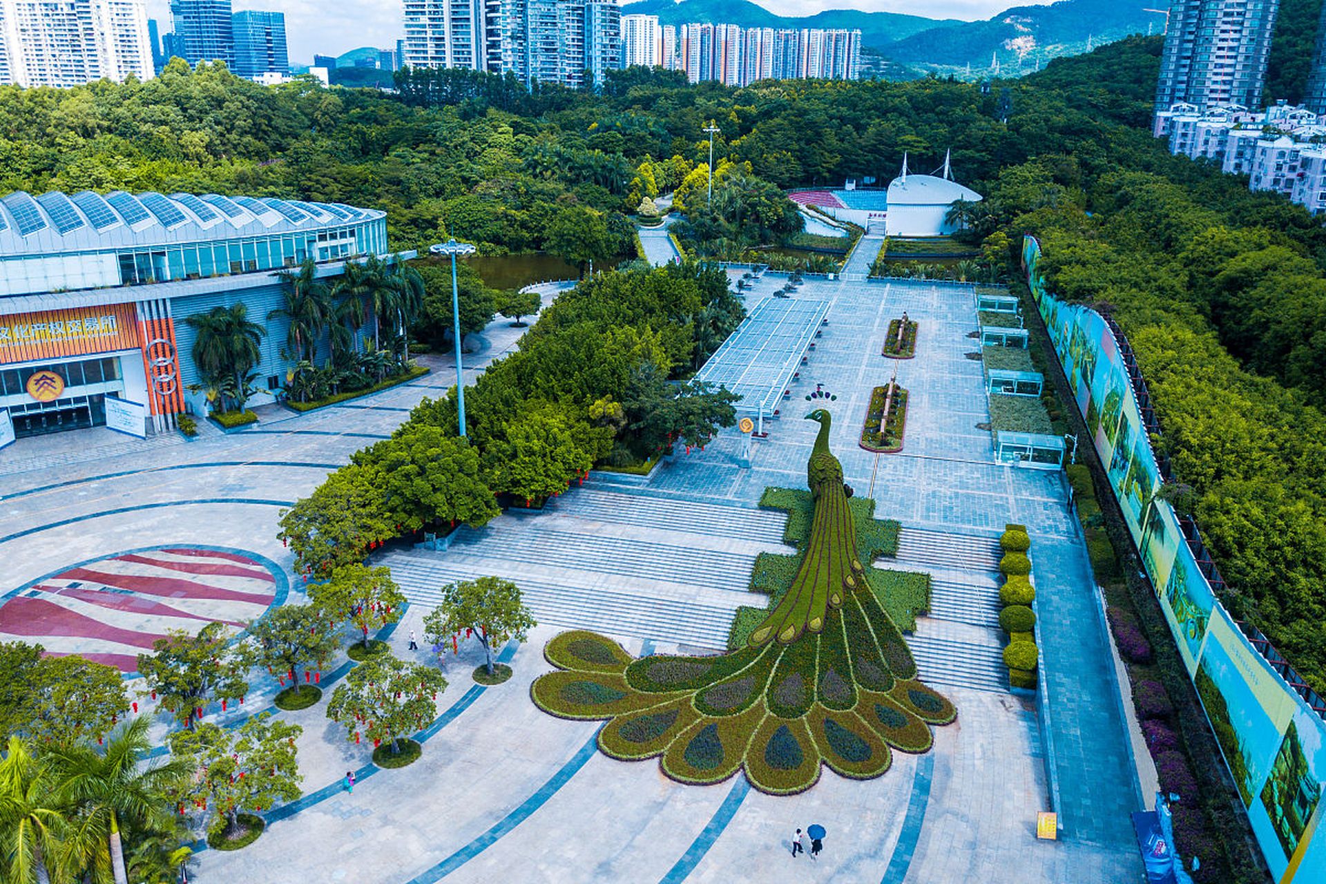 一踏入深圳黄贝岭公园#镜头里的春天# ,首先映入眼帘的是那一排排翠绿