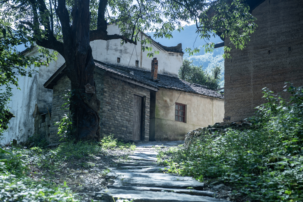 斑驳的墙壁透露着岁月留下的痕迹,青瓦白墙间错落