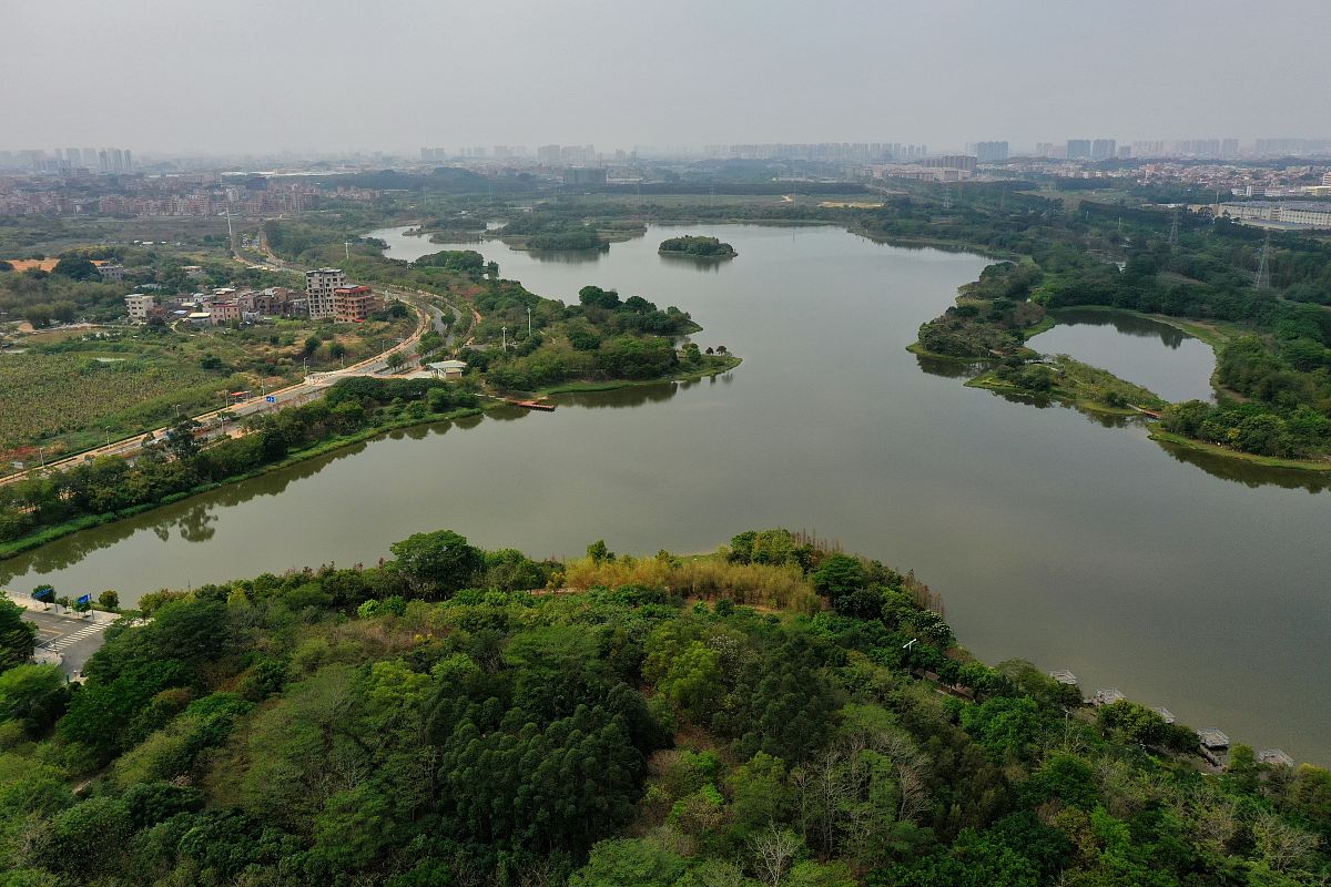 东莞湿地公园在哪里图片