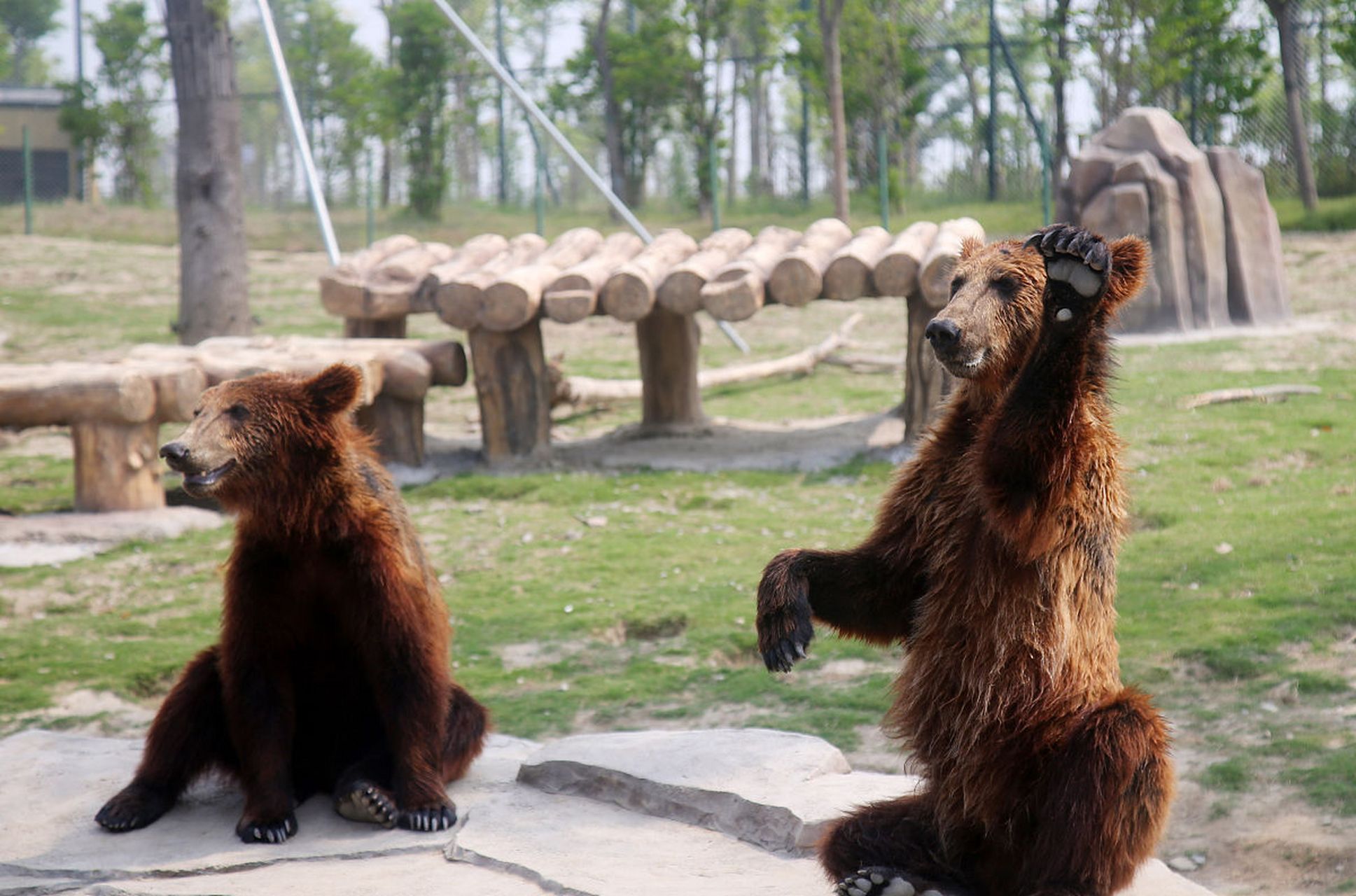 [原文:南通野生动物园探险记]