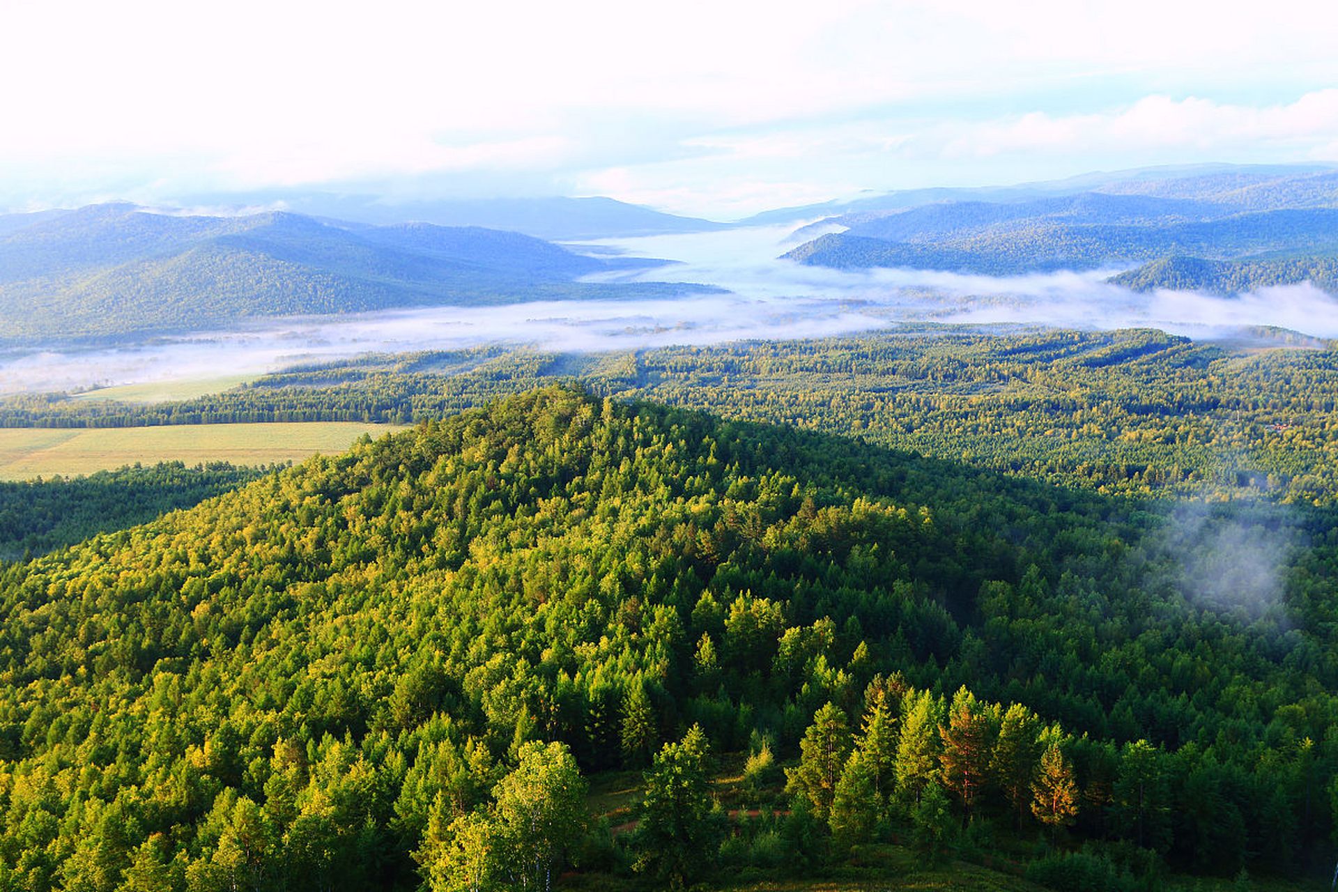 东部长白山野生药用植物资源丰富.人参,貂皮,鹿茸为"东北三宝".