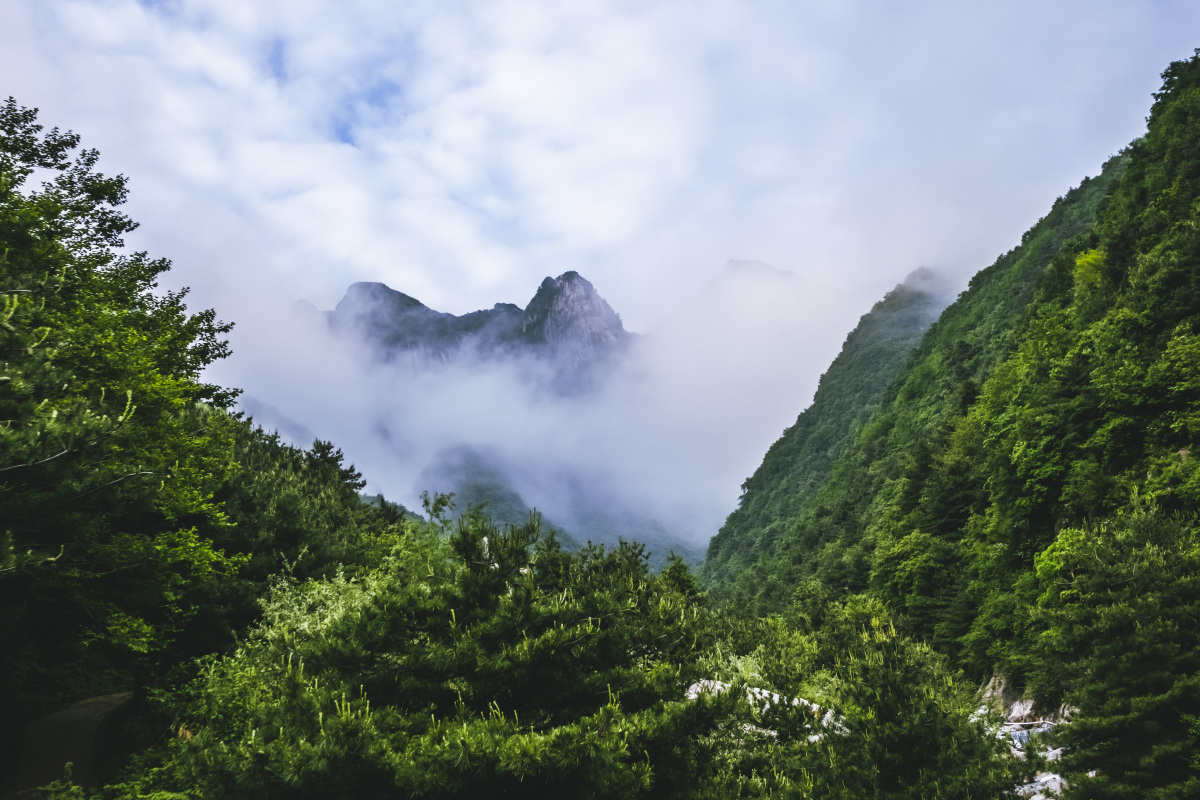 云雾山 鬼谷岭图片