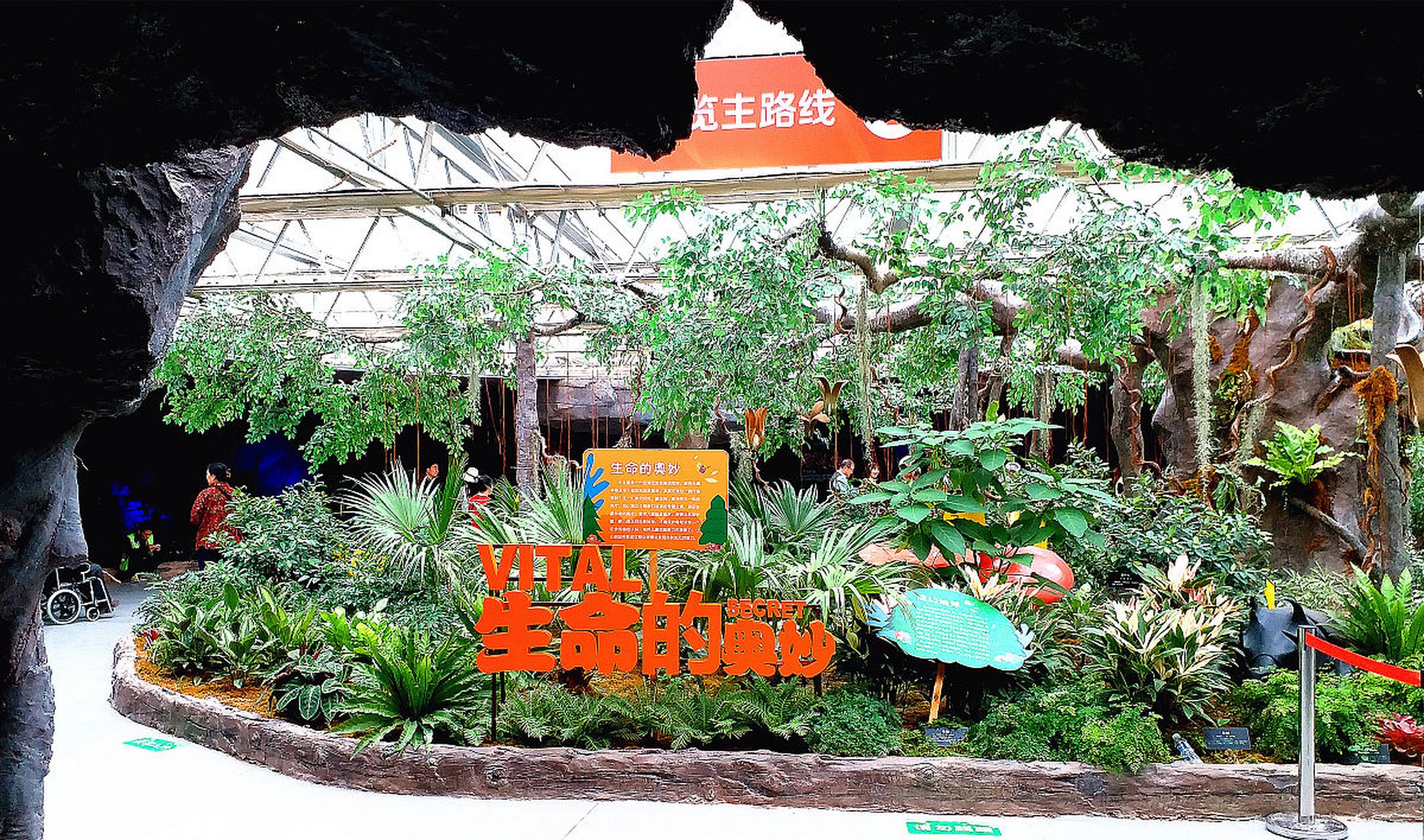 夏日闪光旅行家# 洋河农业嘉年华是一个集农业生产,生态旅游,科普